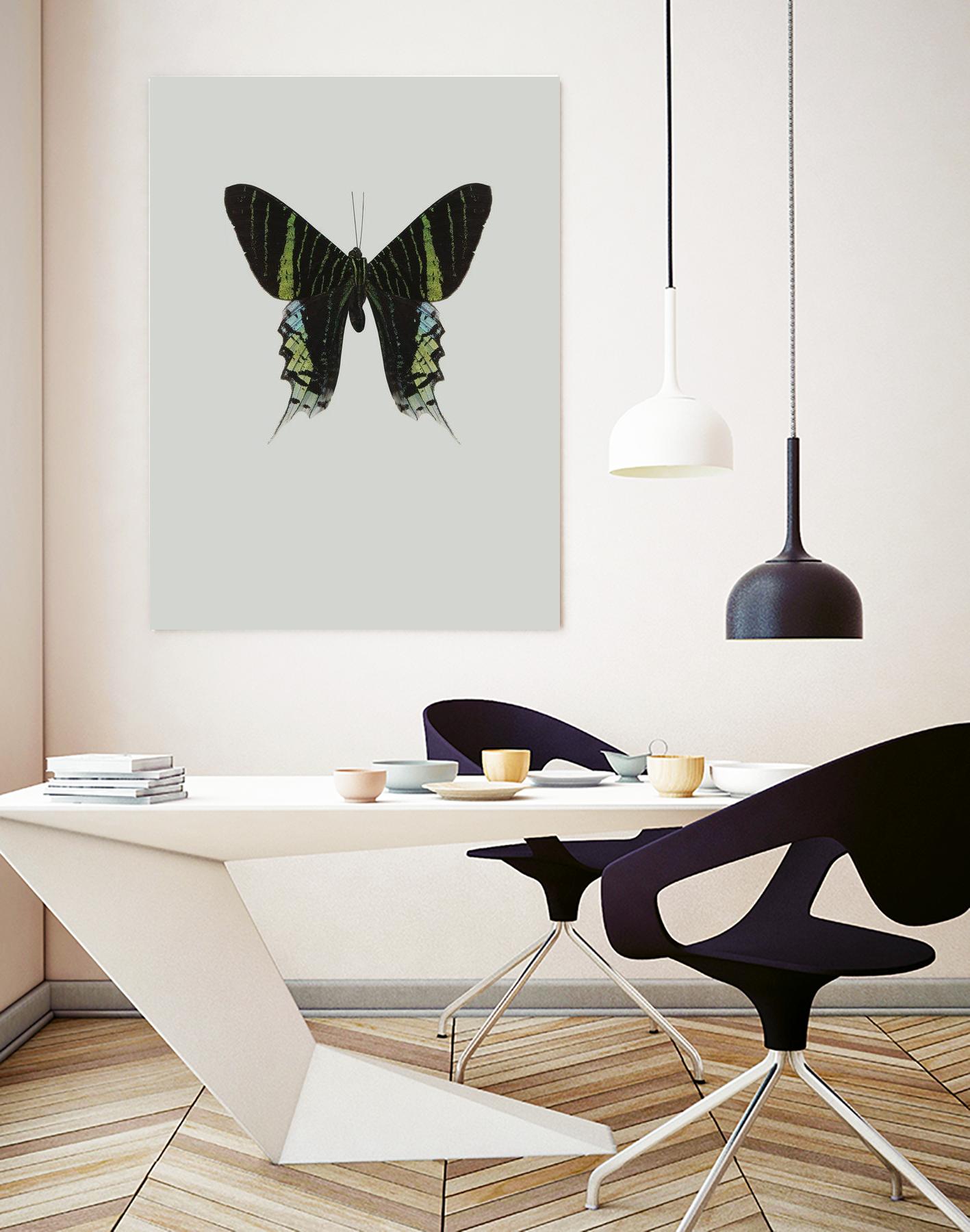 Green butterfly by Incado on GIANT ART - multicolor animals; floral/still life