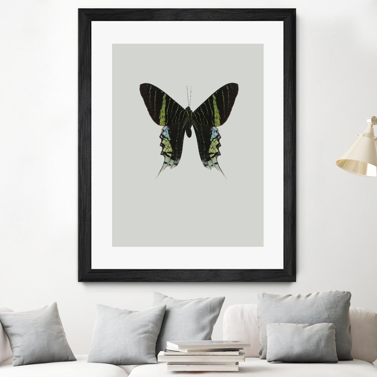 Green butterfly by Incado on GIANT ART - multicolor animals; floral/still life