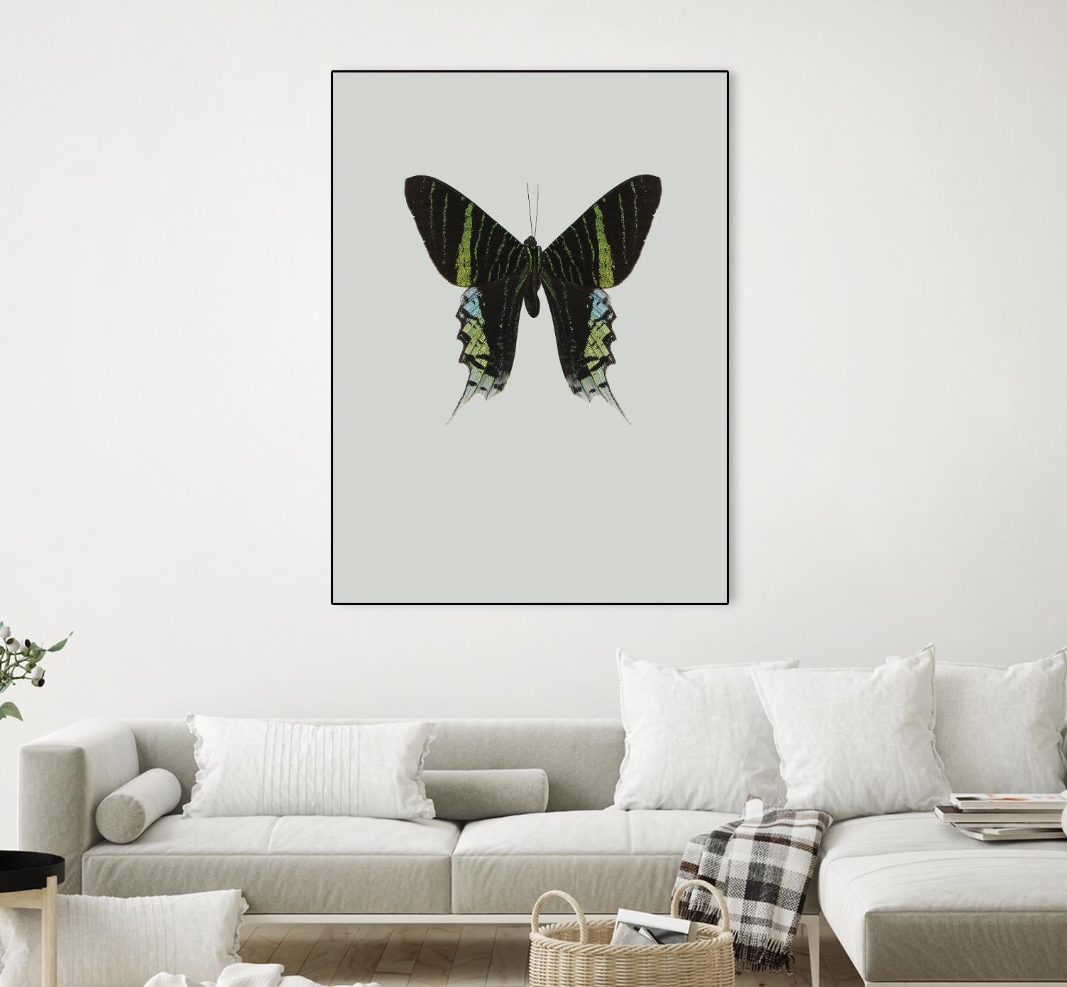 Green butterfly by Incado on GIANT ART - multicolor animals; floral/still life