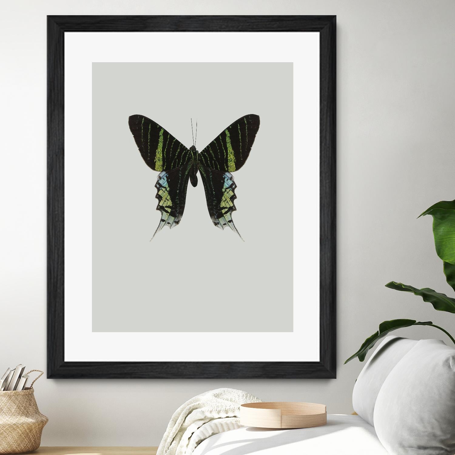 Green butterfly by Incado on GIANT ART - multicolor animals; floral/still life