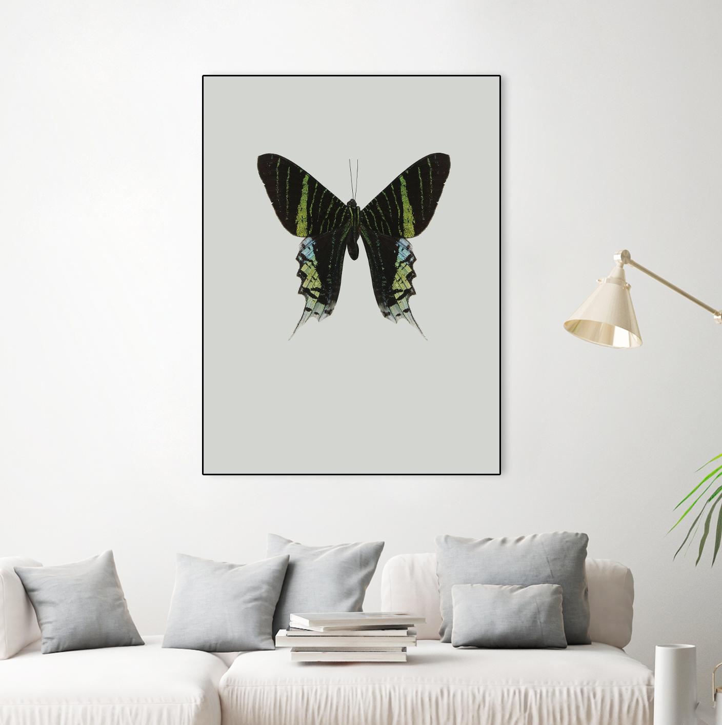 Green butterfly by Incado on GIANT ART - multicolor animals; floral/still life
