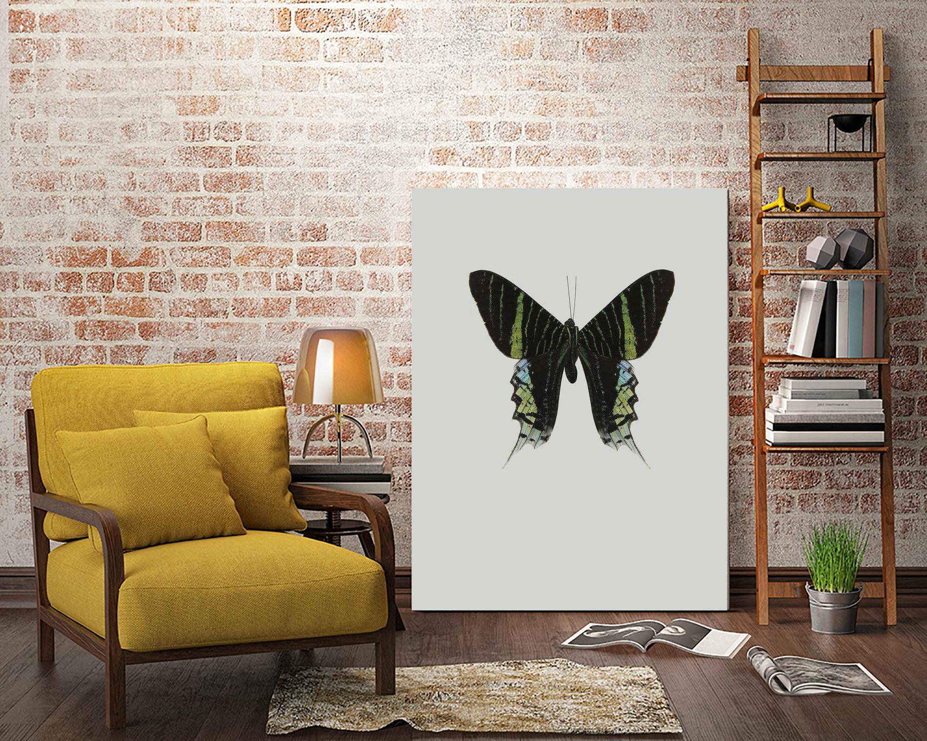 Green butterfly by Incado on GIANT ART - multicolor animals; floral/still life