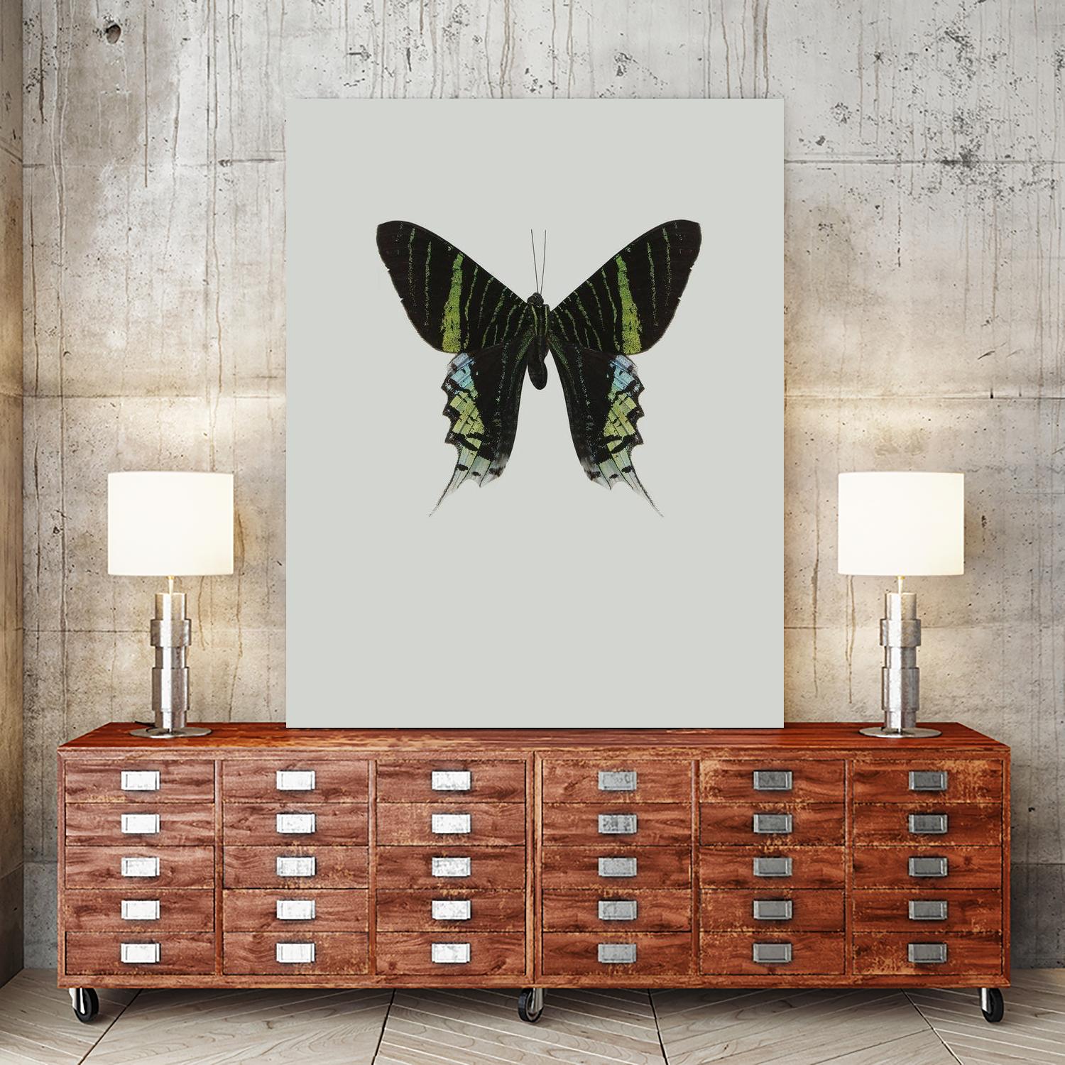 Green butterfly by Incado on GIANT ART - multicolor animals; floral/still life