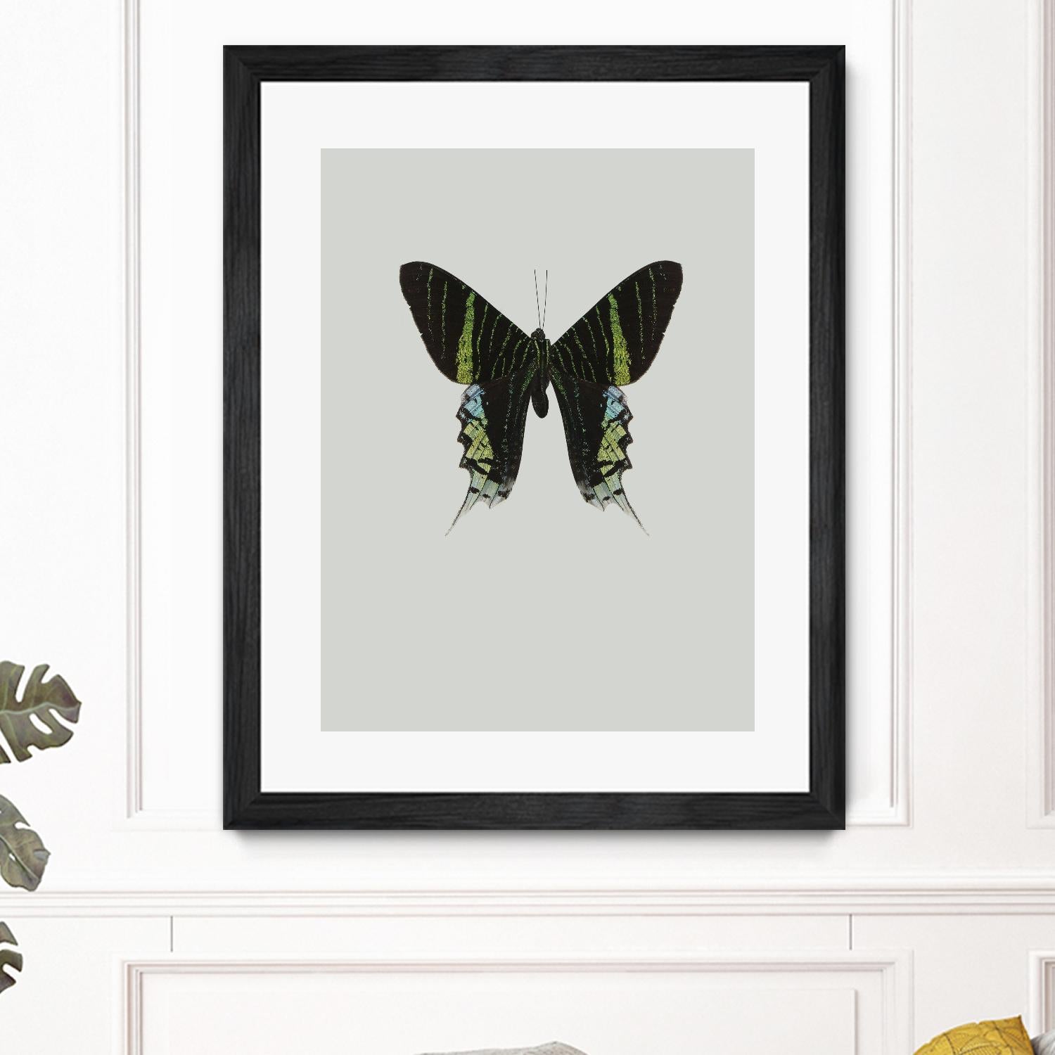 Green butterfly by Incado on GIANT ART - multicolor animals; floral/still life