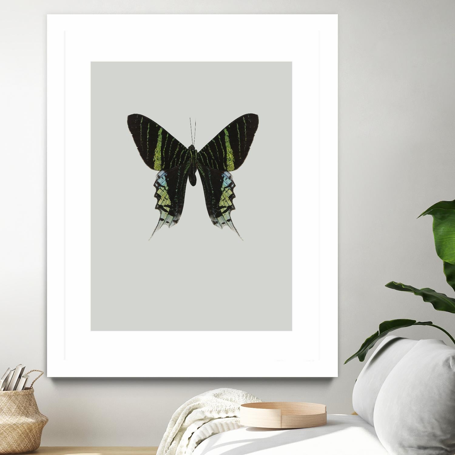 Green butterfly by Incado on GIANT ART - multicolor animals; floral/still life