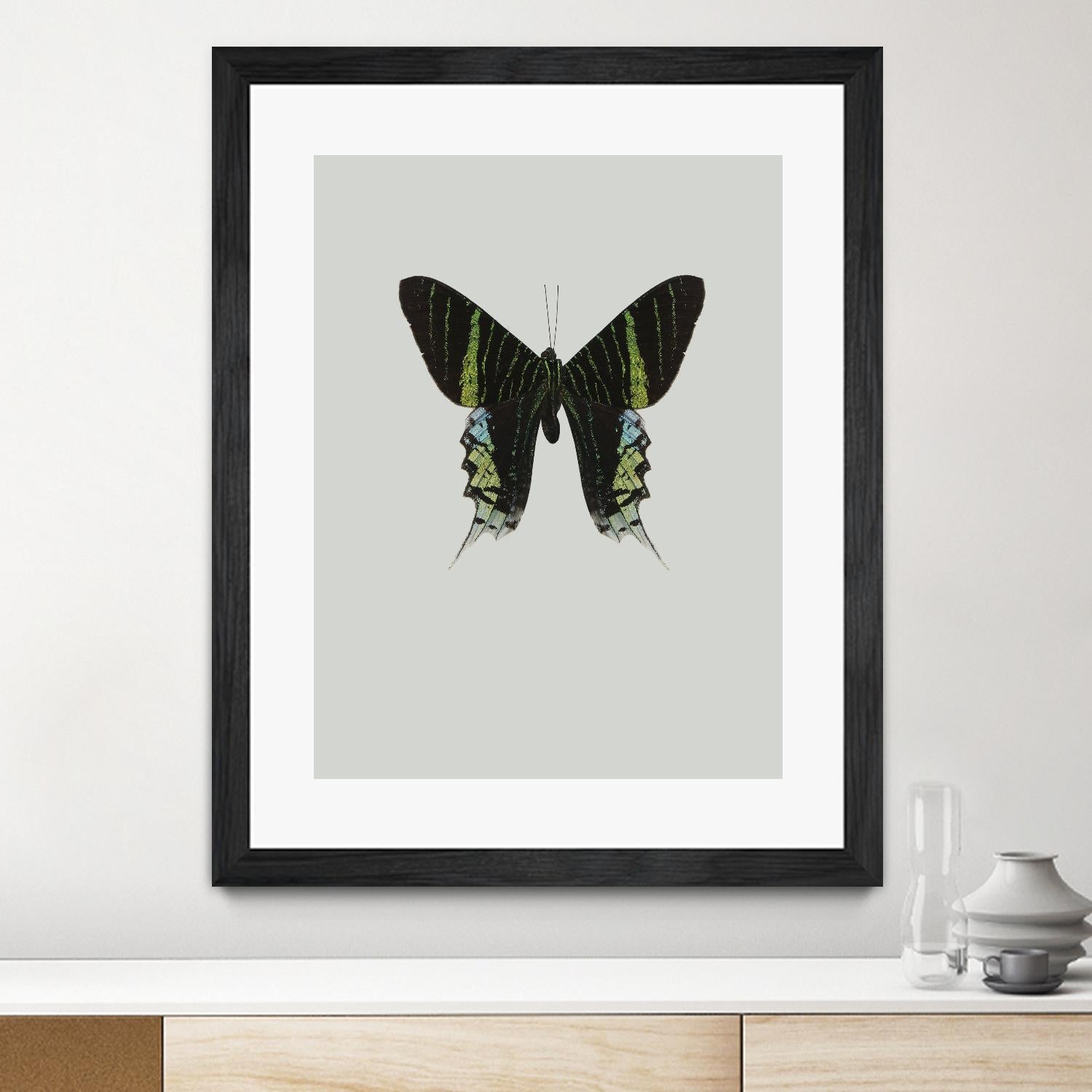 Green butterfly by Incado on GIANT ART - multicolor animals; floral/still life