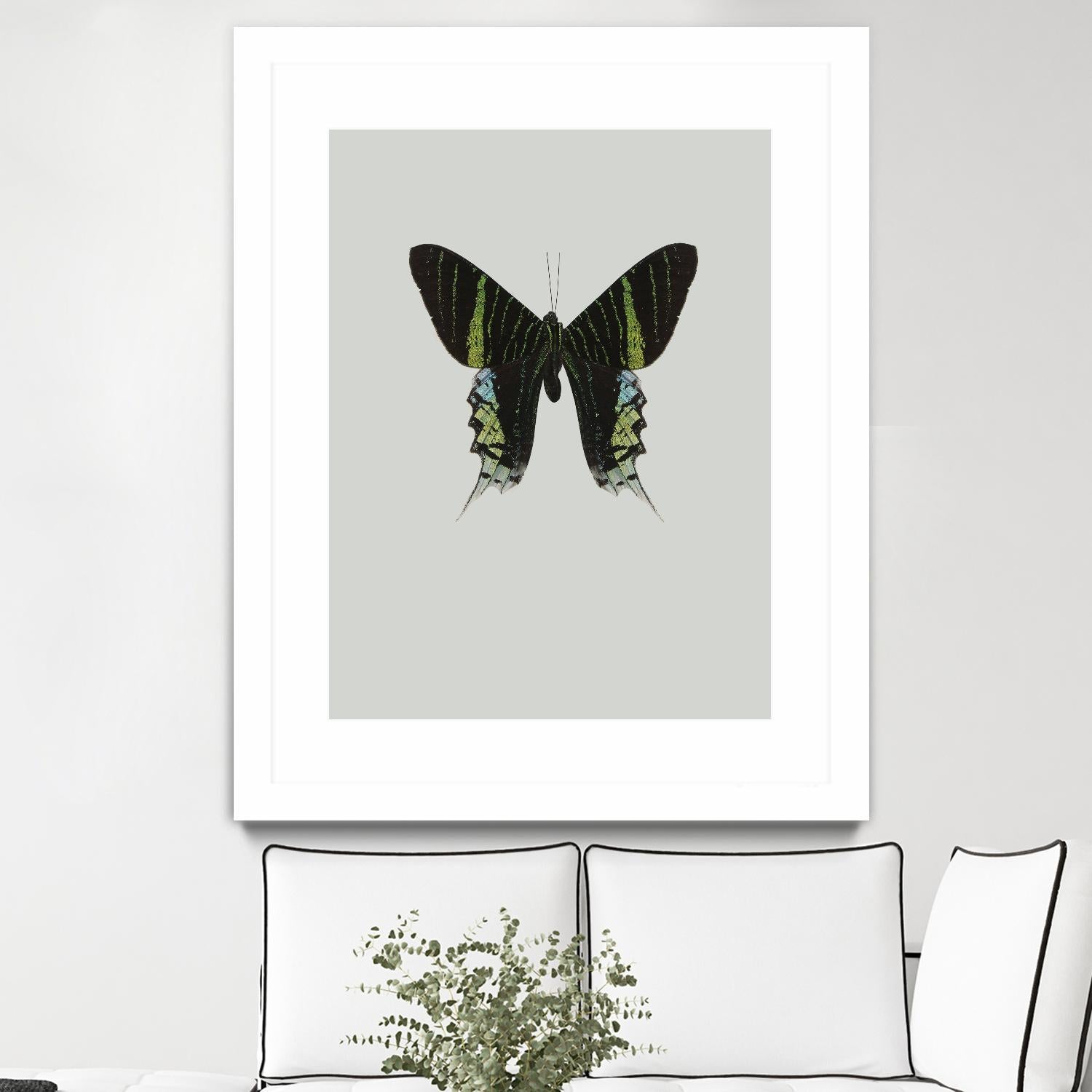 Green butterfly by Incado on GIANT ART - multicolor animals; floral/still life