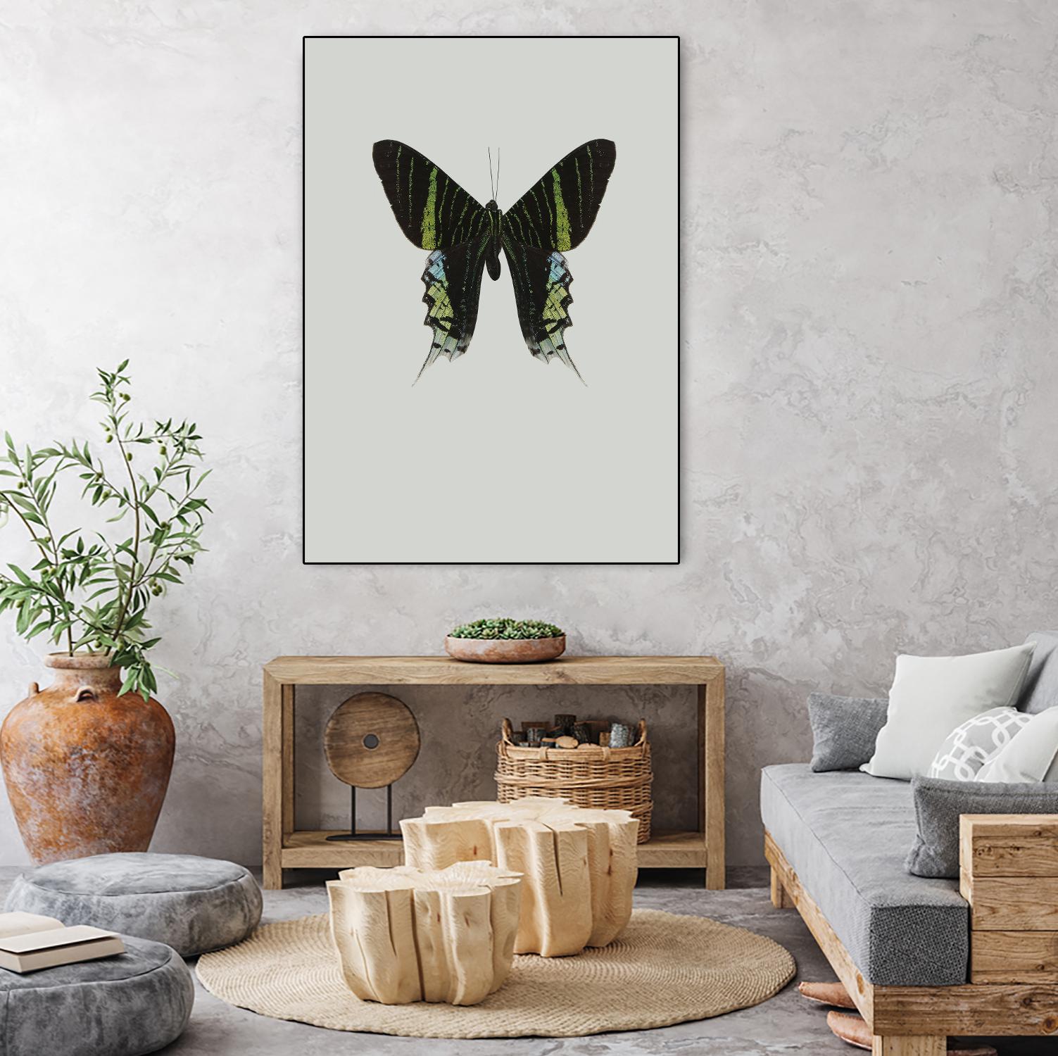 Green butterfly by Incado on GIANT ART - multicolor animals; floral/still life