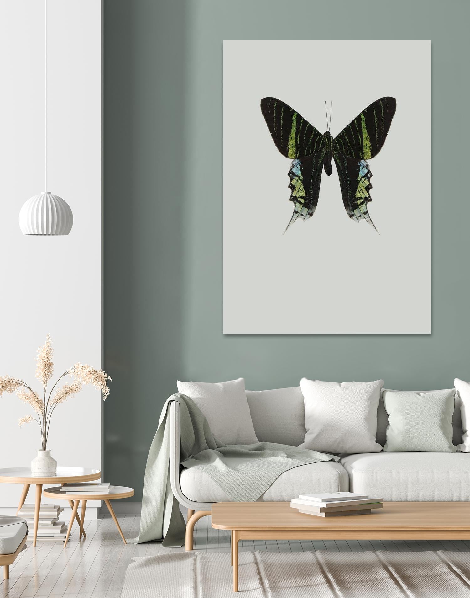 Green butterfly by Incado on GIANT ART - multicolor animals; floral/still life