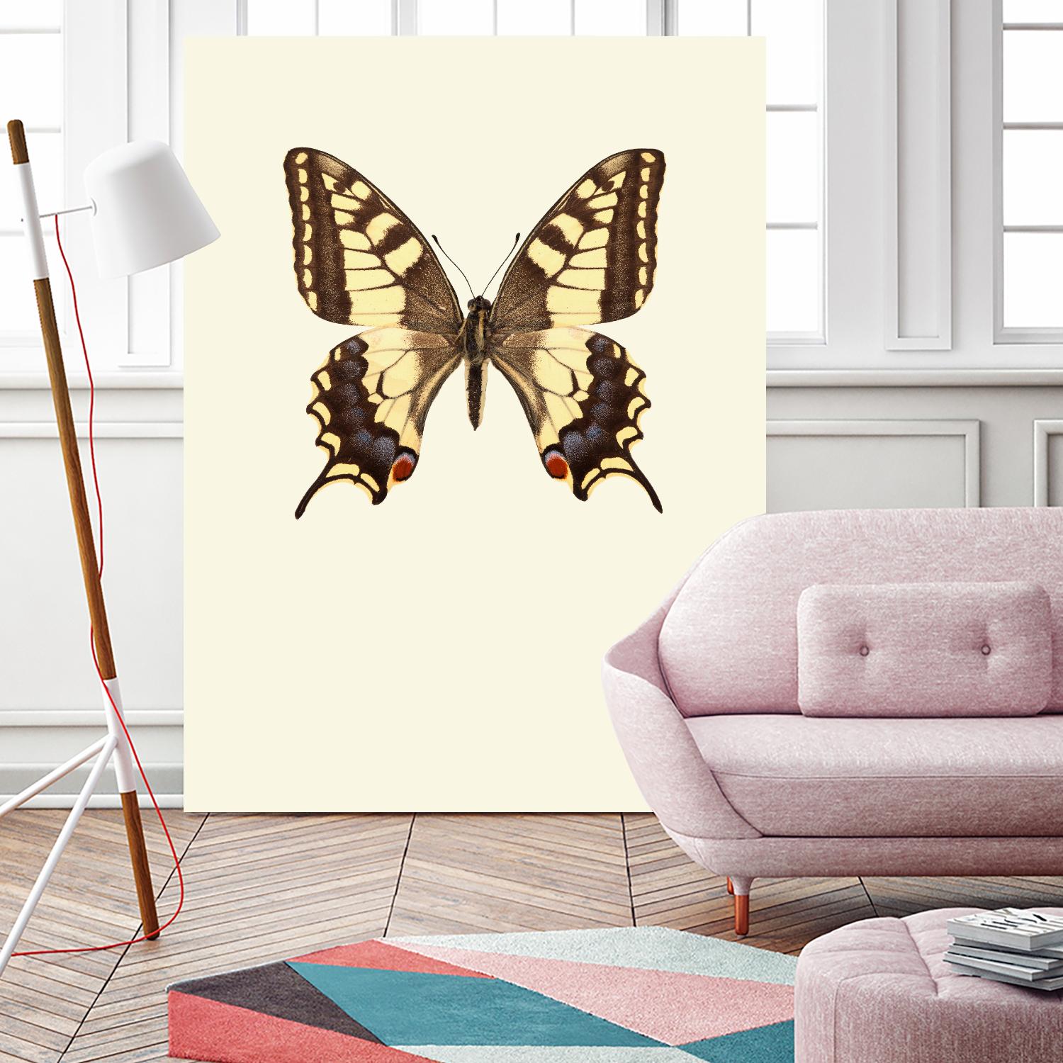 Papilio machaon by Incado on GIANT ART - multicolor animals; floral/still life