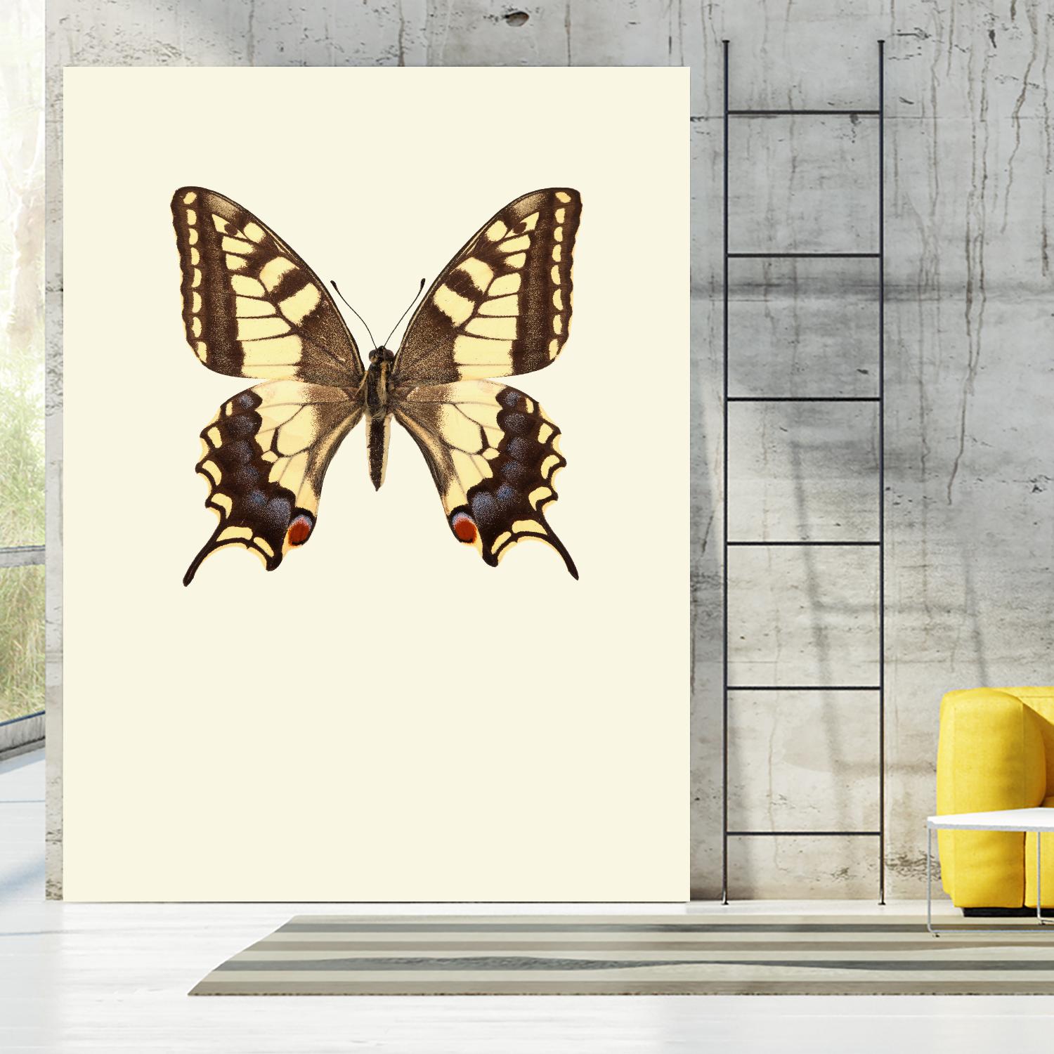 Papilio machaon by Incado on GIANT ART - multicolor animals; floral/still life