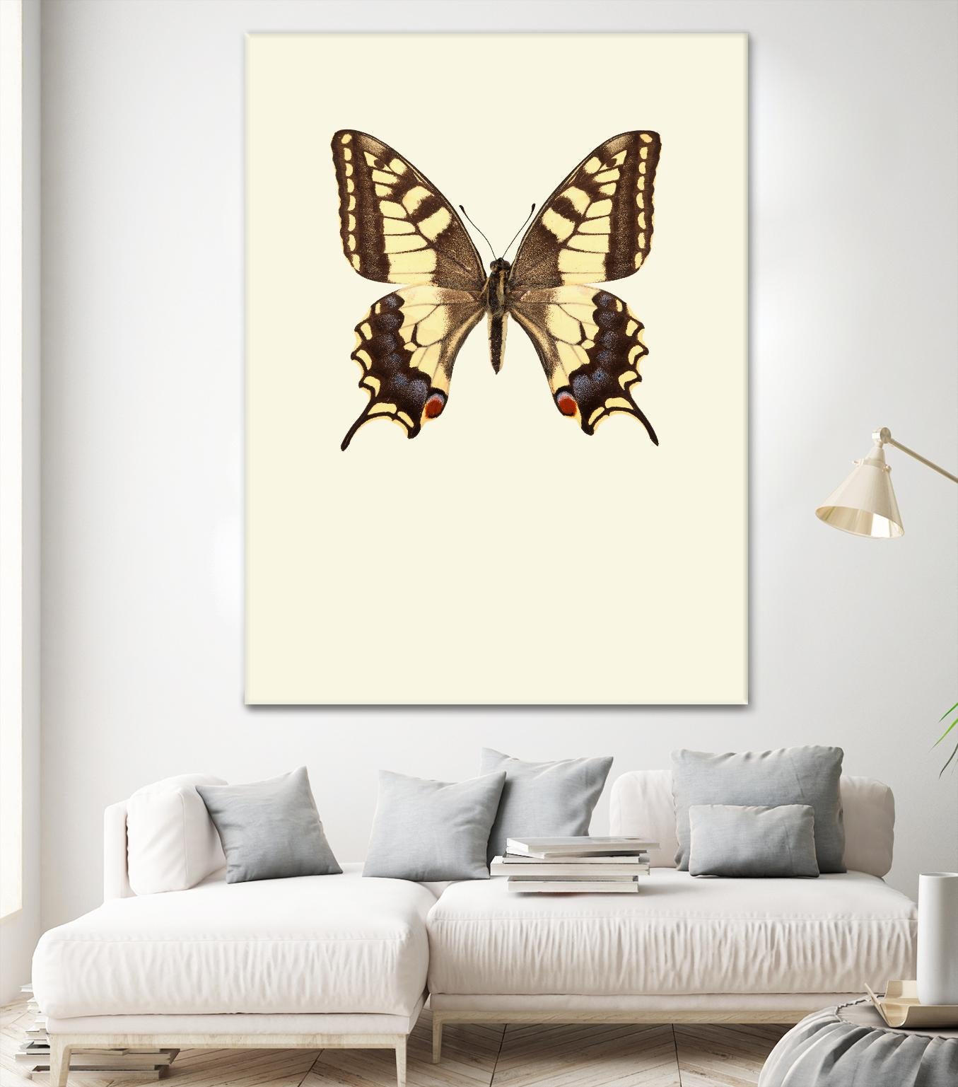 Papilio machaon by Incado on GIANT ART - multicolor animals; floral/still life