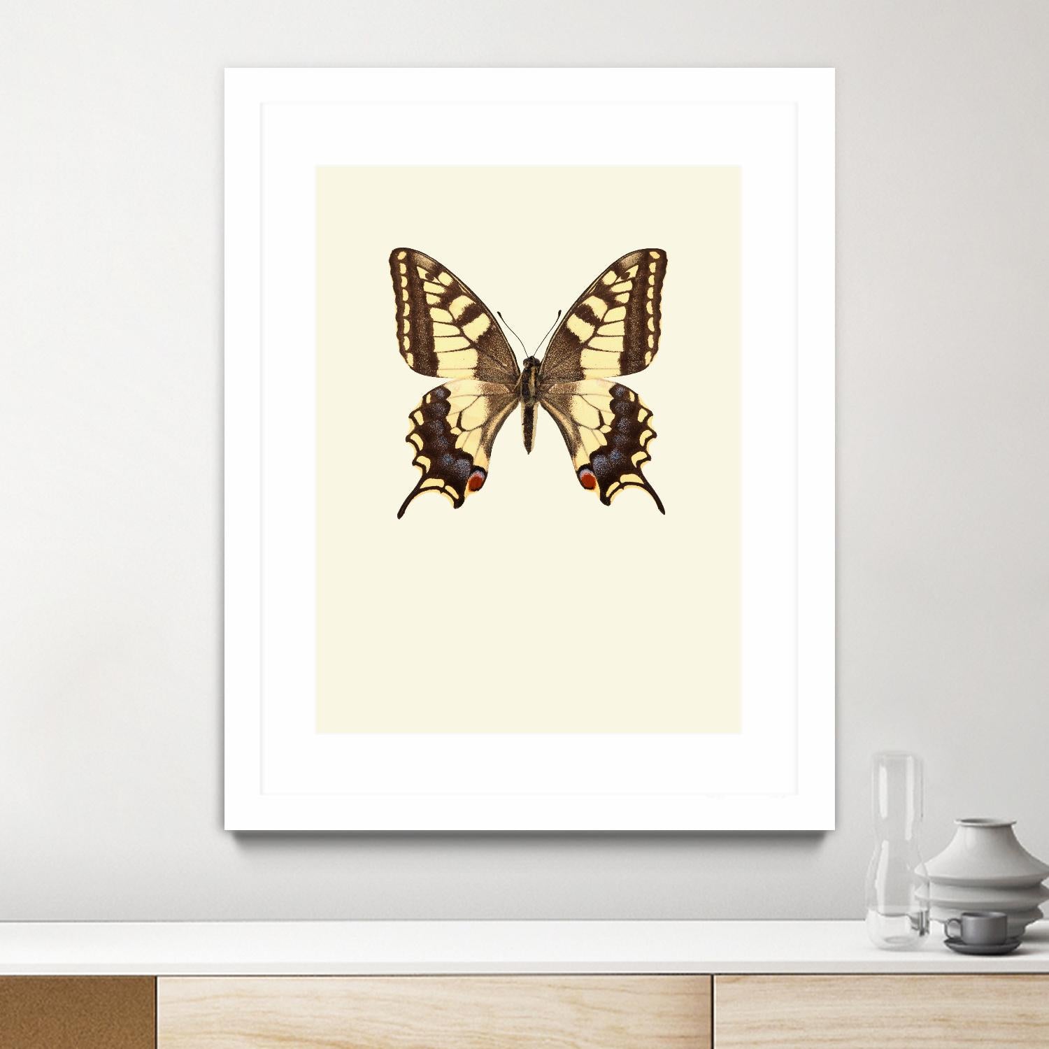 Papilio machaon by Incado on GIANT ART - multicolor animals; floral/still life