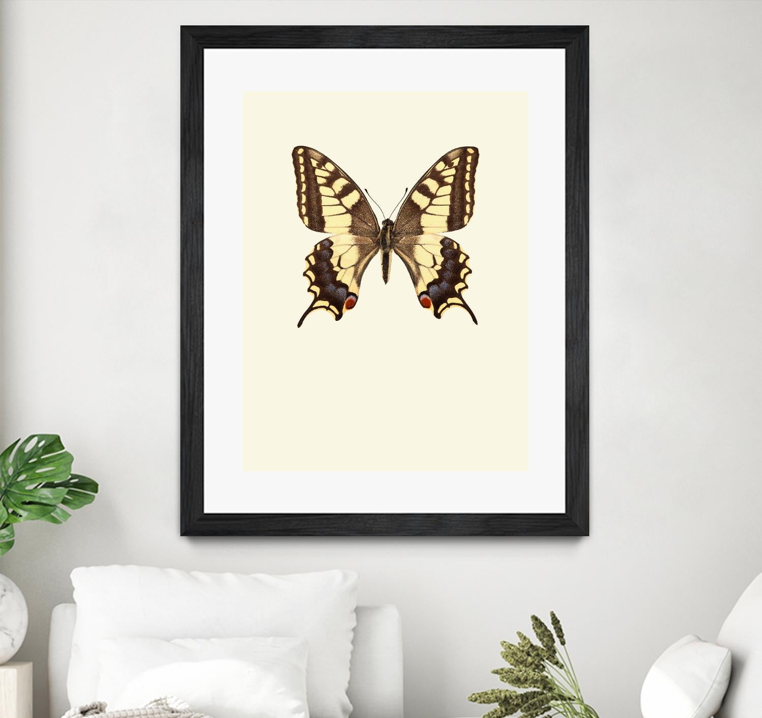 Papilio machaon by Incado on GIANT ART - multicolor animals; floral/still life