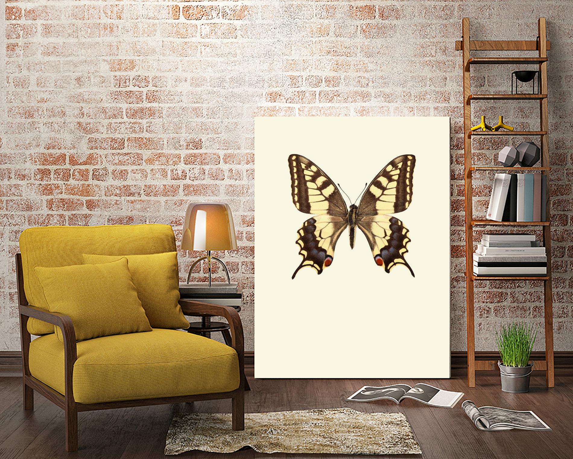 Papilio machaon by Incado on GIANT ART - multicolor animals; floral/still life
