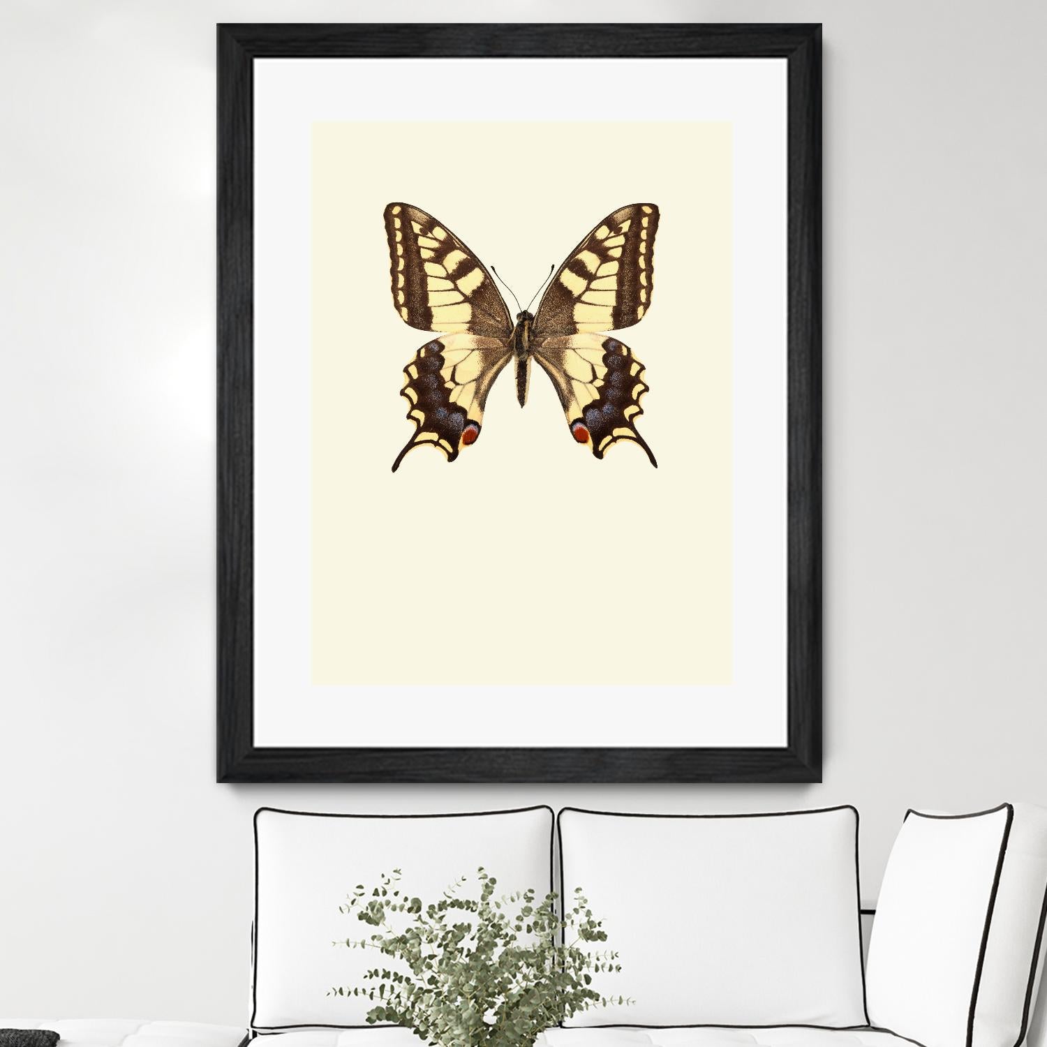 Papilio machaon by Incado on GIANT ART - multicolor animals; floral/still life
