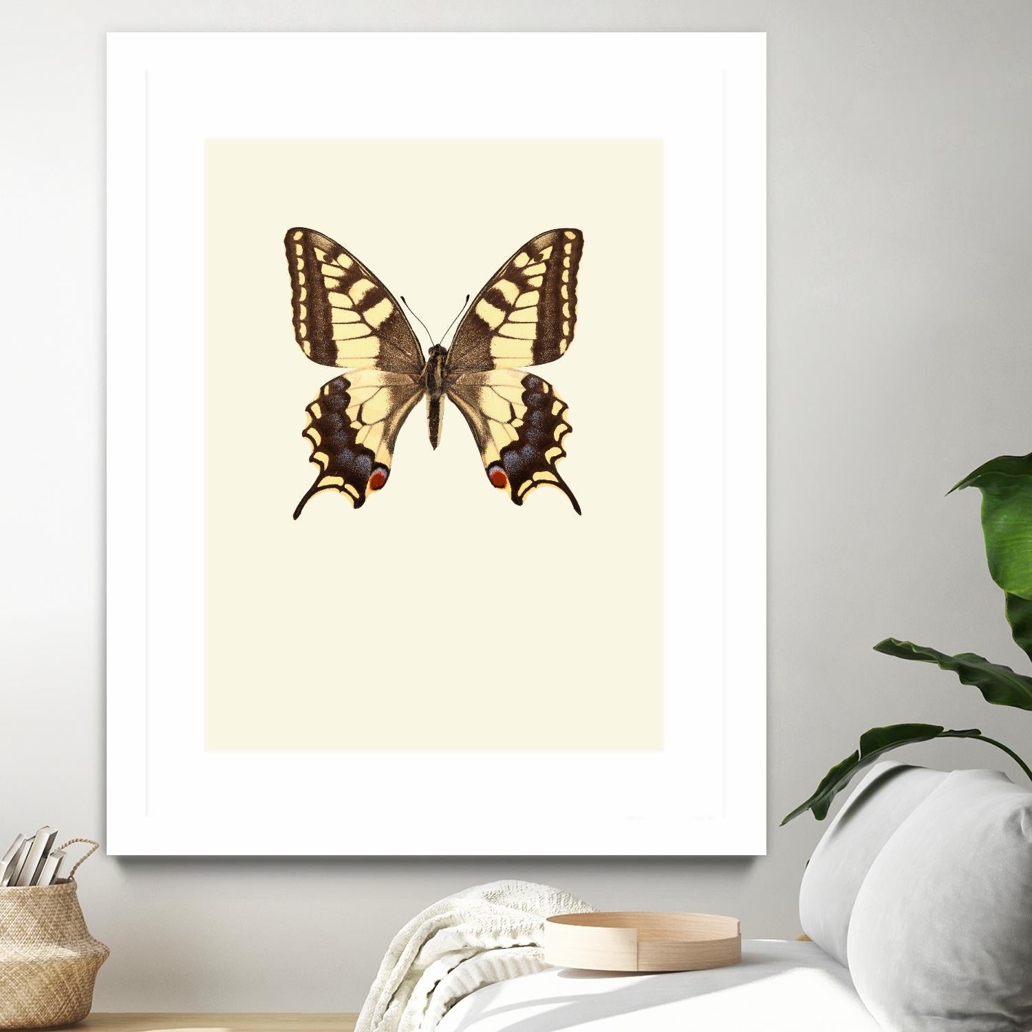 Papilio machaon by Incado on GIANT ART - multicolor animals; floral/still life
