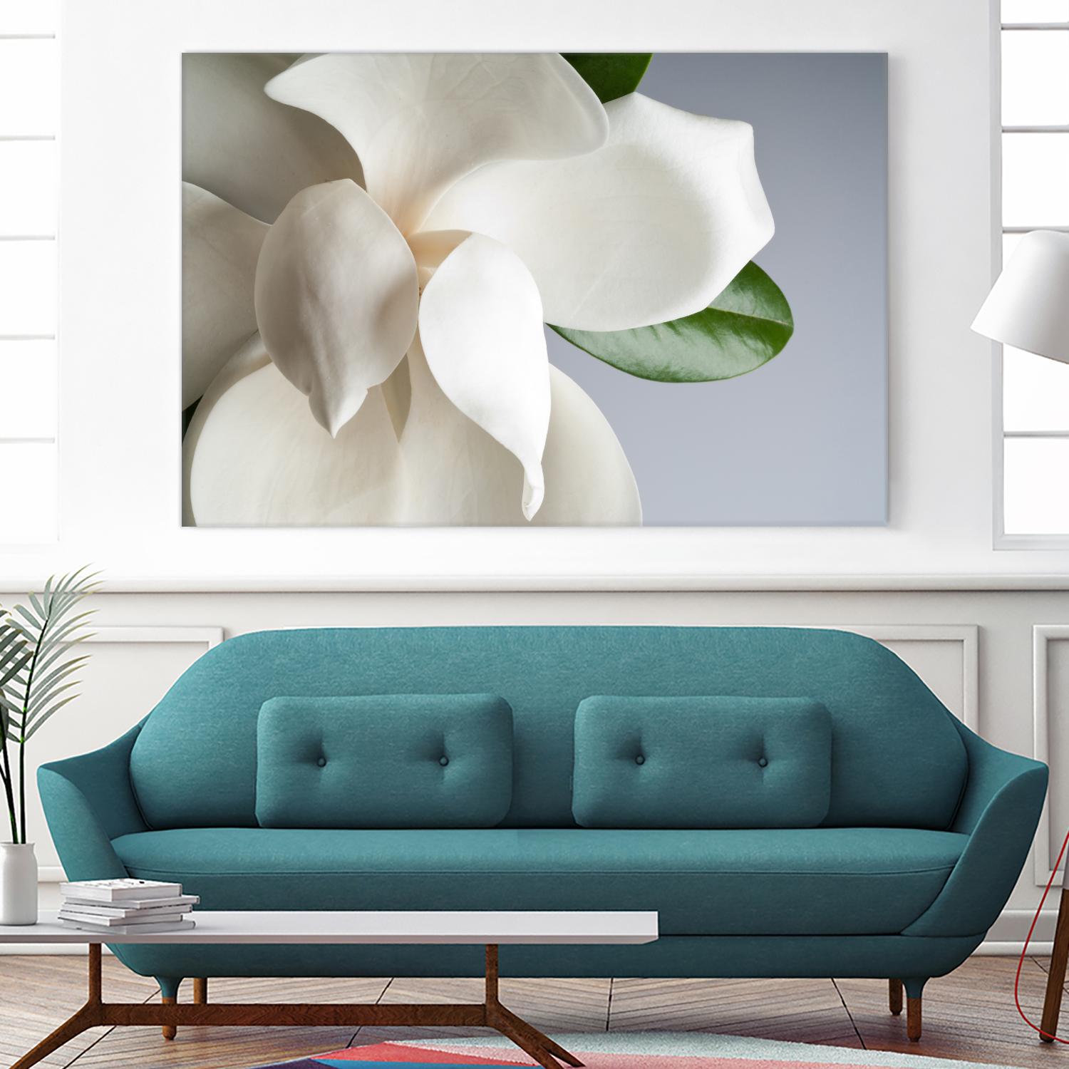 Magnolia by PhotoINC Studio on GIANT ART - multicolor photography; floral/still life