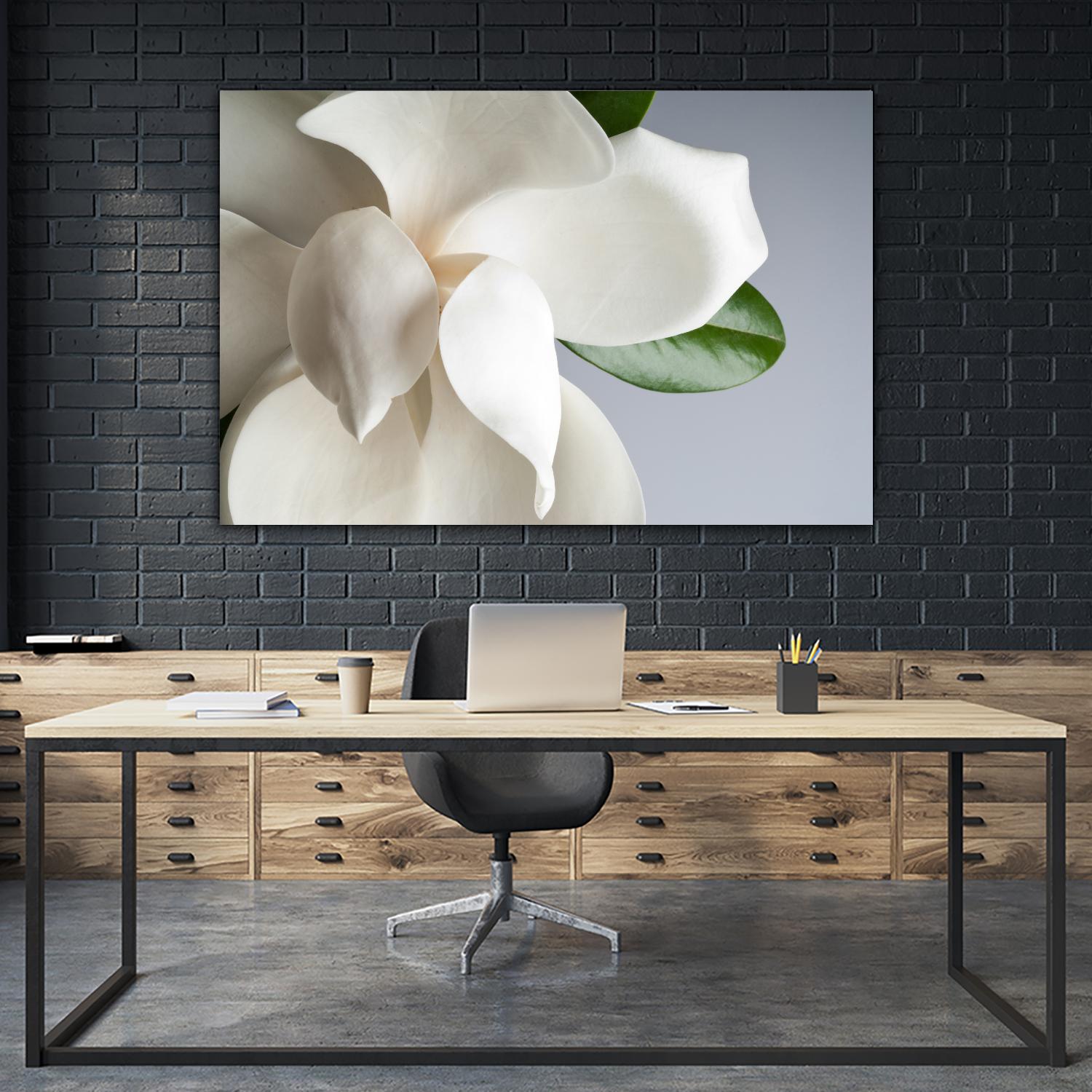 Magnolia by PhotoINC Studio on GIANT ART - multicolor photography; floral/still life
