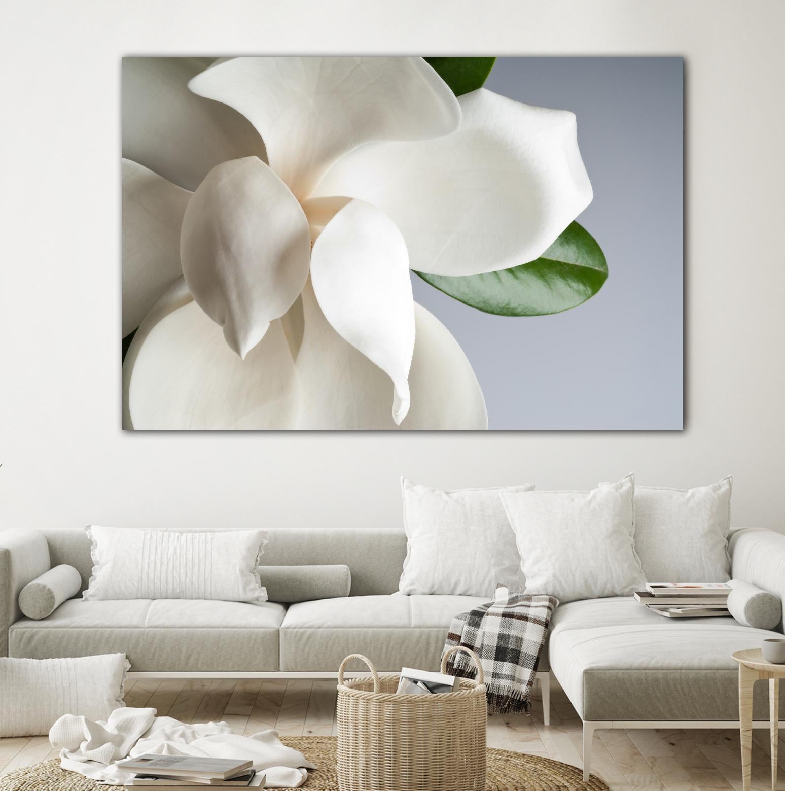 Magnolia by PhotoINC Studio on GIANT ART - multicolor photography; floral/still life