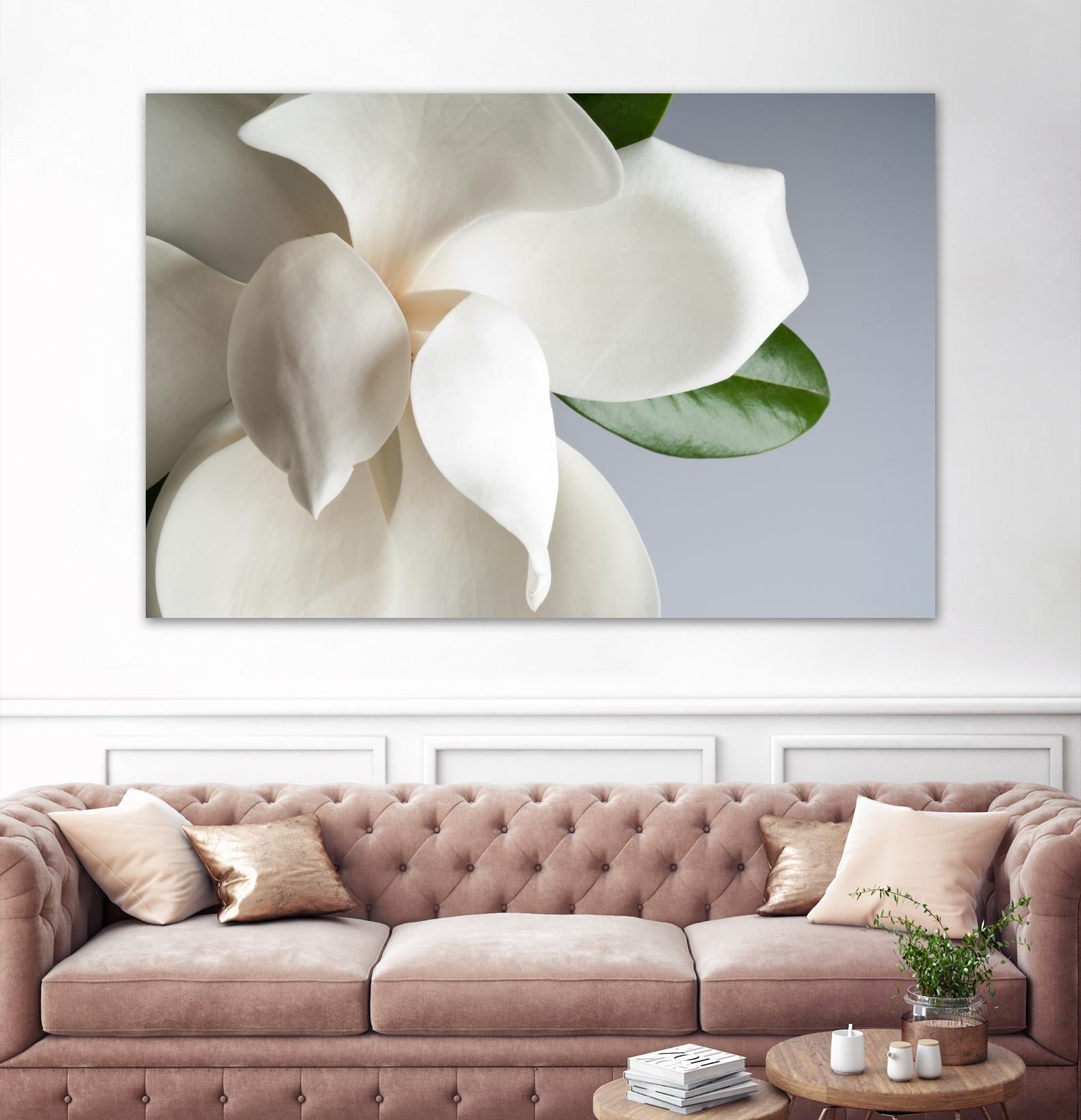 Magnolia by PhotoINC Studio on GIANT ART - multicolor photography; floral/still life