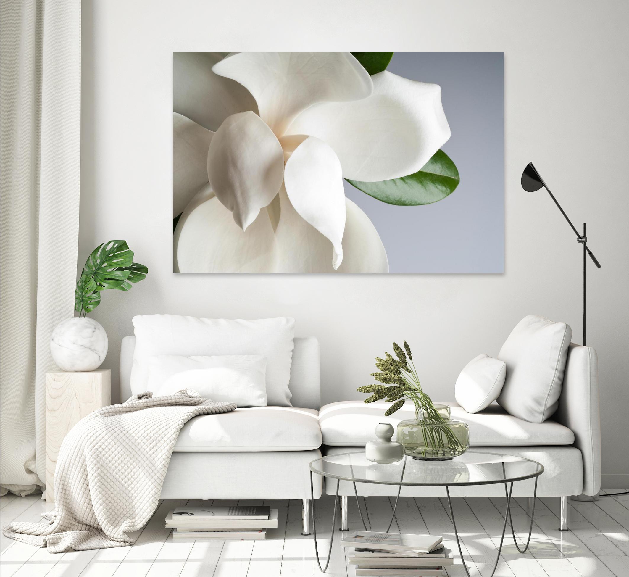 Magnolia by PhotoINC Studio on GIANT ART - multicolor photography; floral/still life