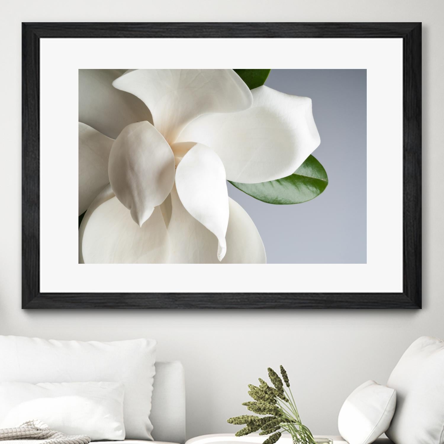 Magnolia by PhotoINC Studio on GIANT ART - multicolor photography; floral/still life