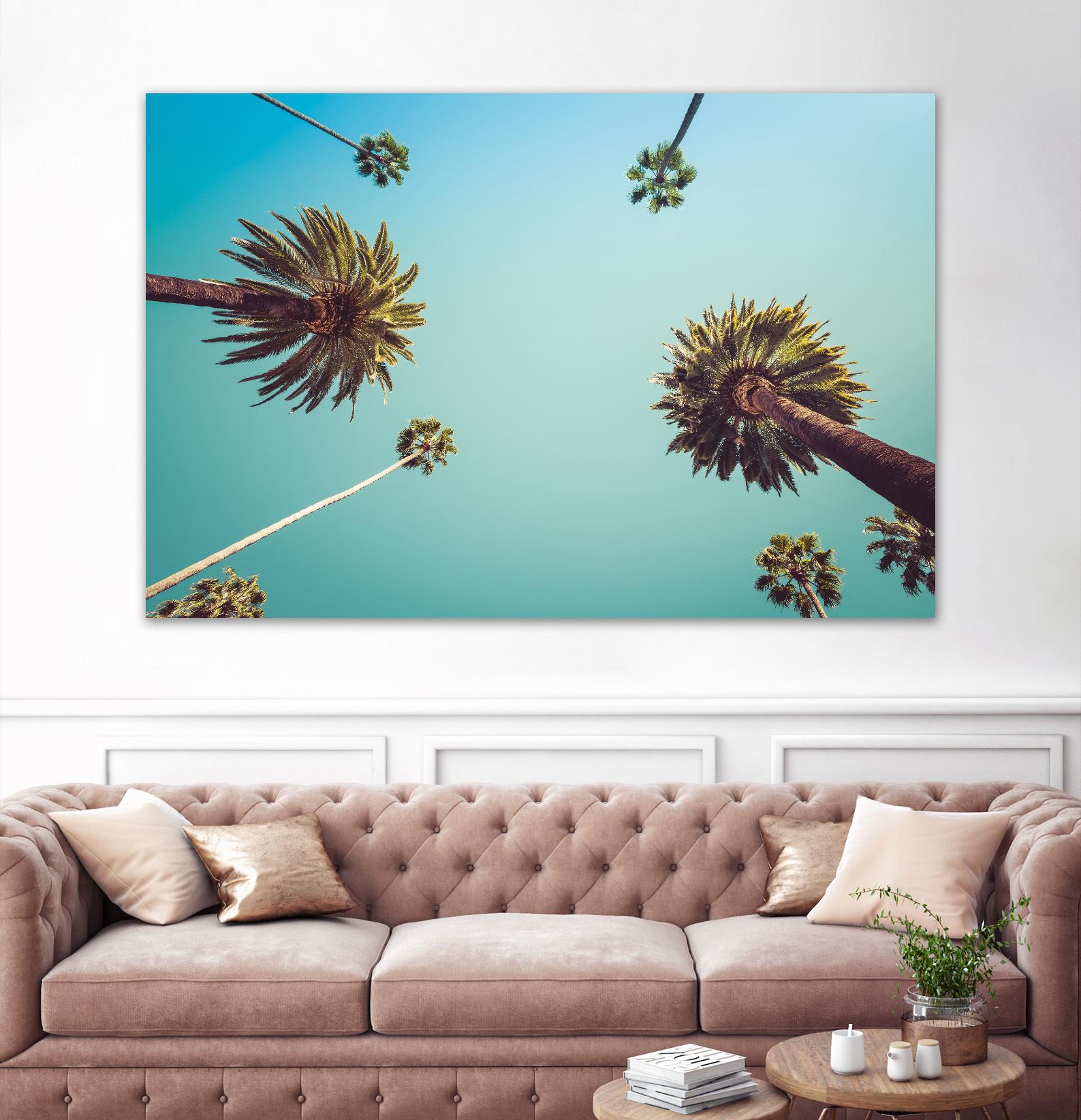 Palms by PhotoINC Studio on GIANT ART - multicolor photography; landscapes