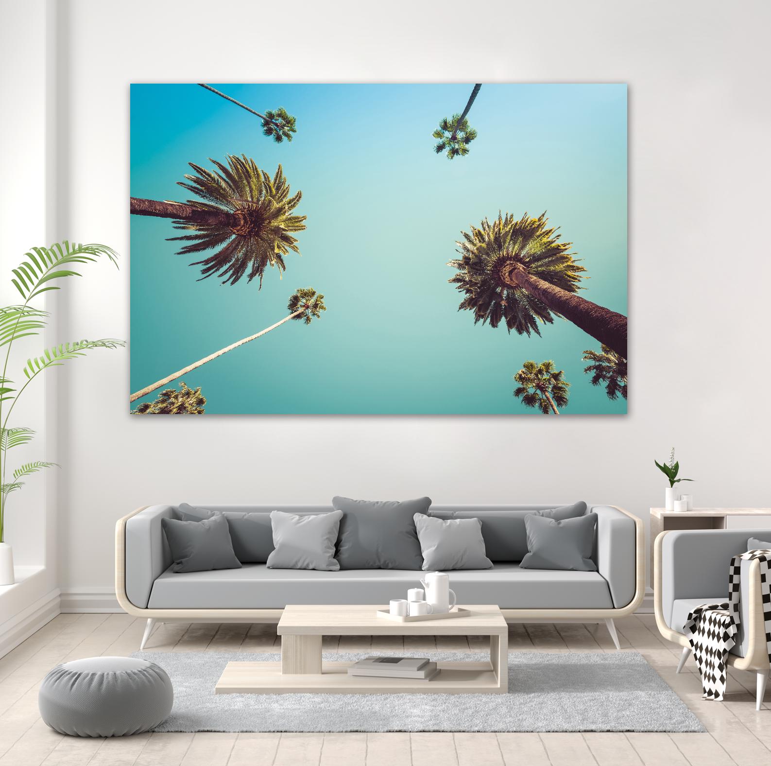 Palms by PhotoINC Studio on GIANT ART - multicolor photography; landscapes