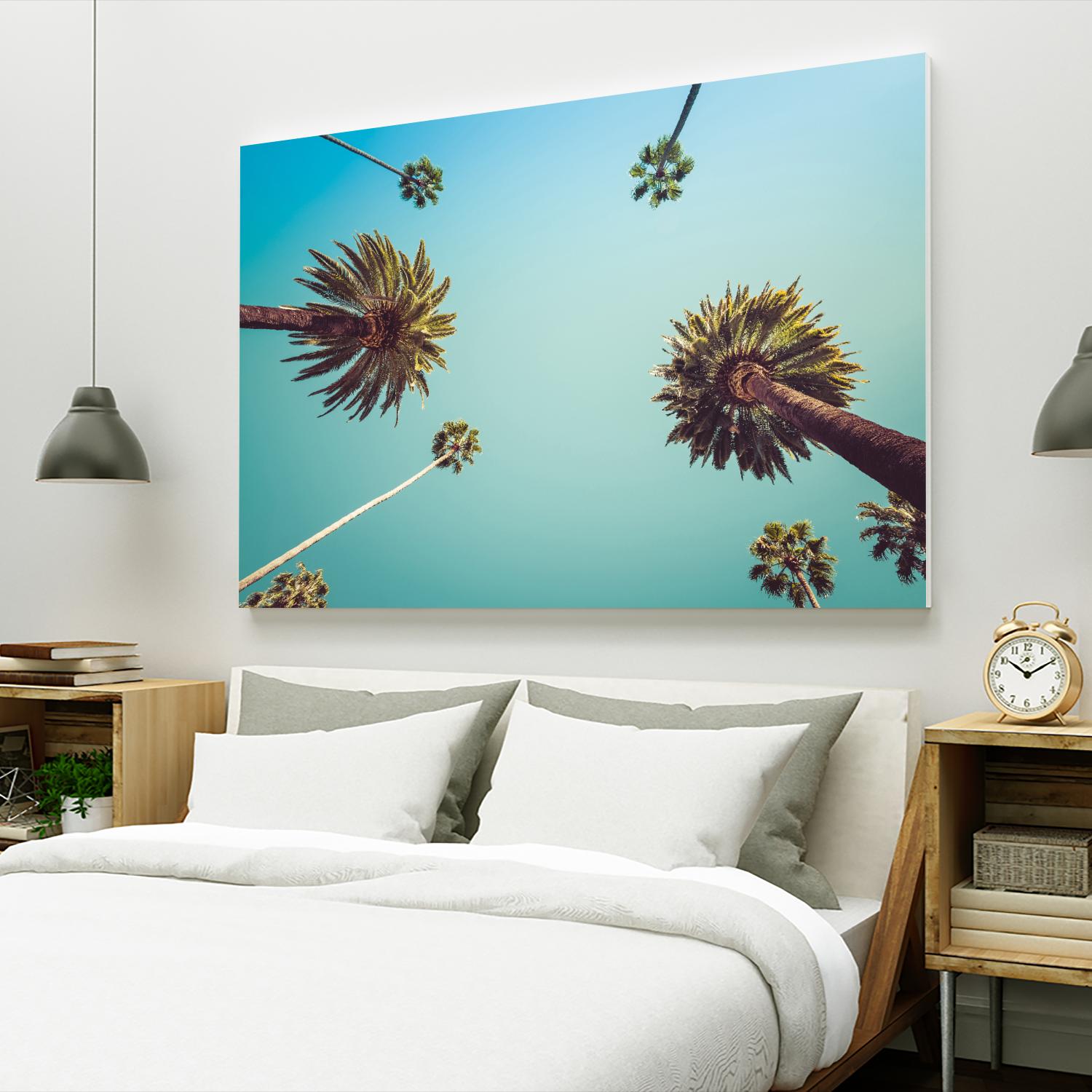 Palms by PhotoINC Studio on GIANT ART - multicolor photography; landscapes