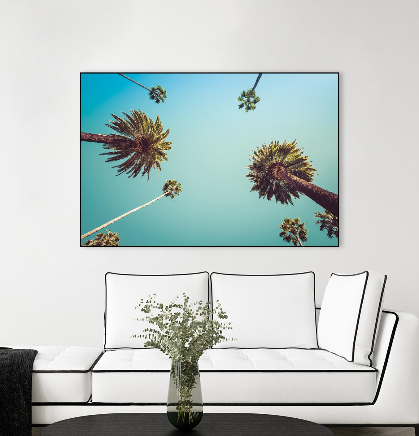 Palms by PhotoINC Studio on GIANT ART - multicolor photography; landscapes