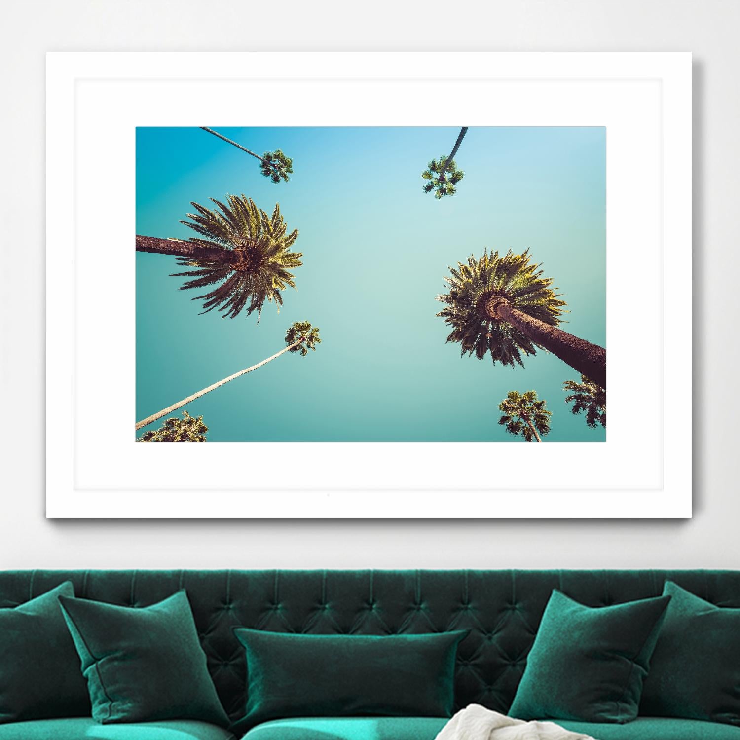 Palms by PhotoINC Studio on GIANT ART - multicolor photography; landscapes