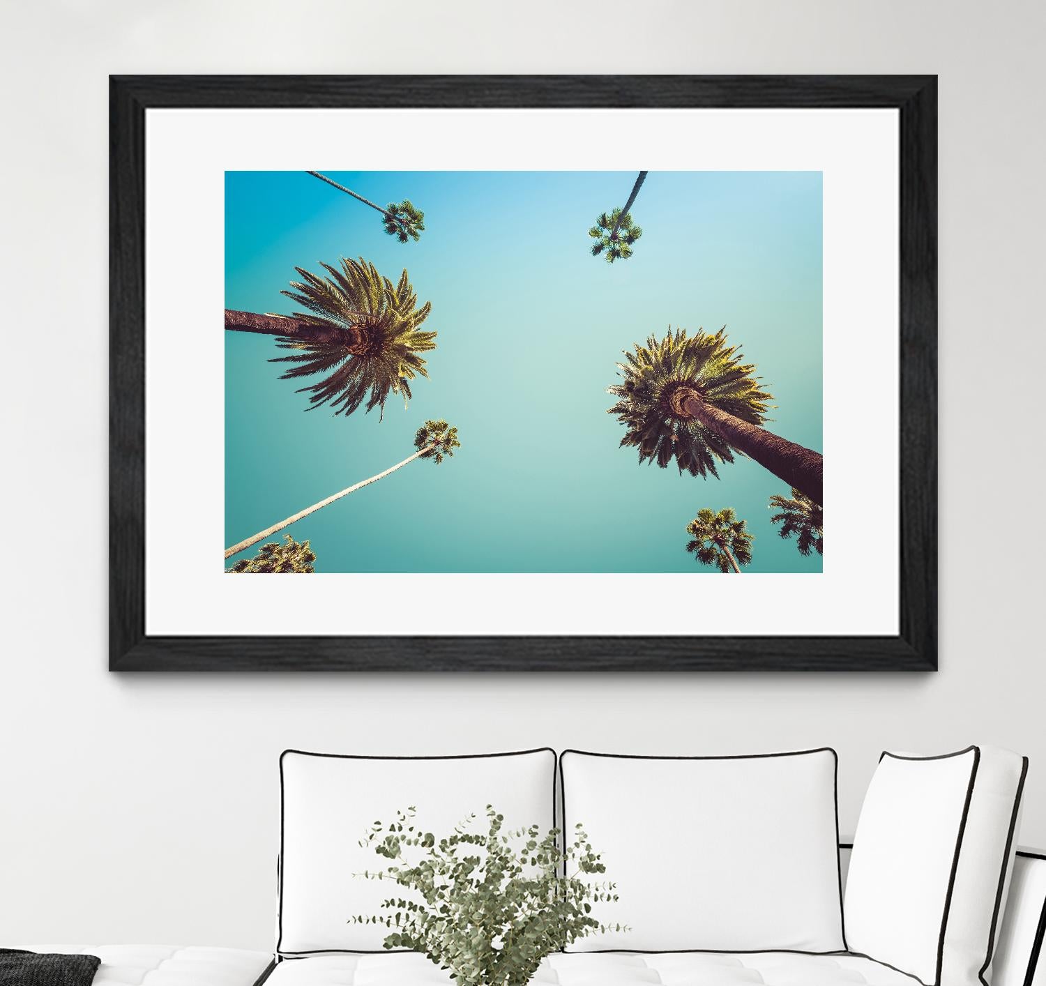 Palms by PhotoINC Studio on GIANT ART - multicolor photography; landscapes