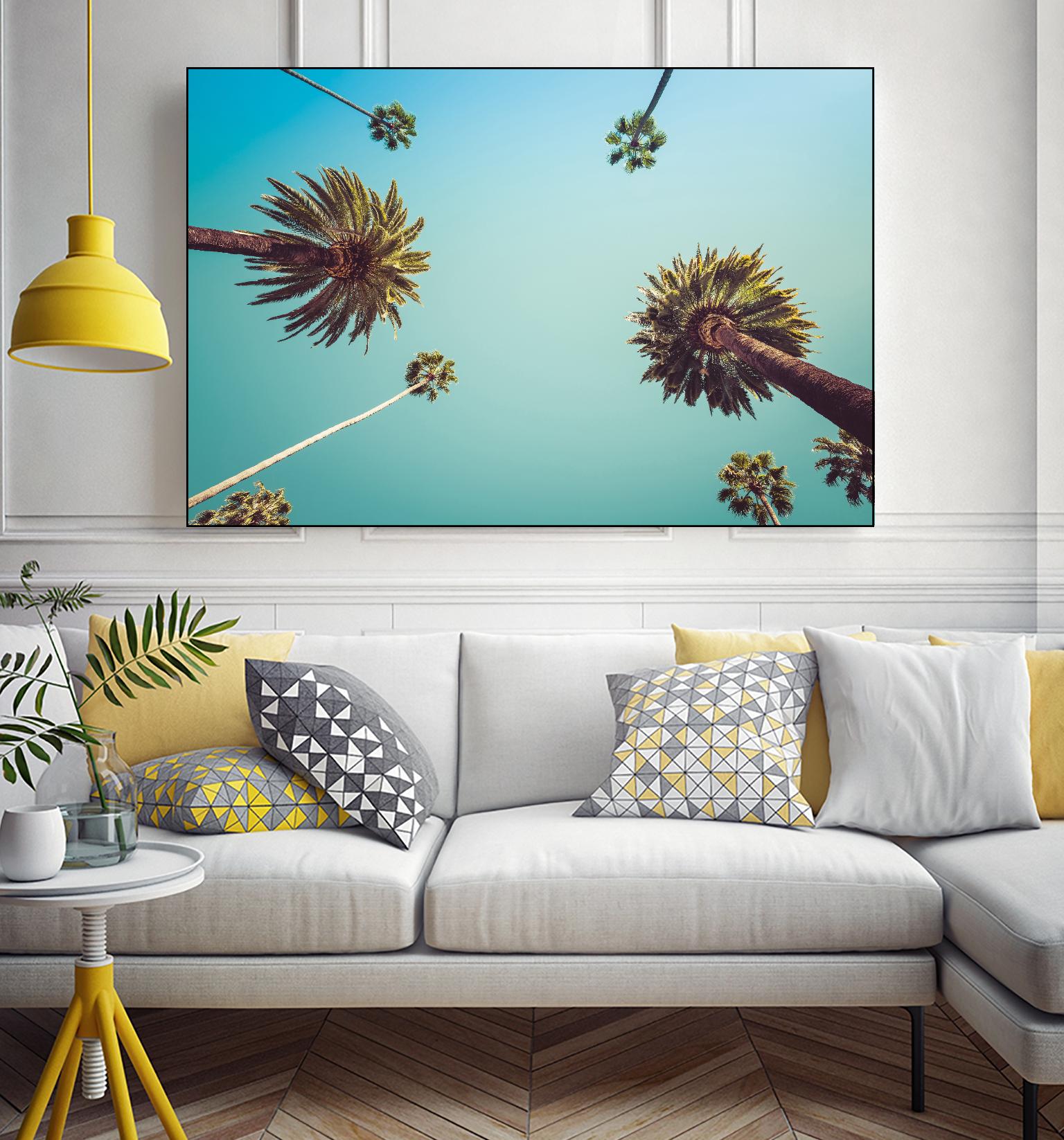 Palms by PhotoINC Studio on GIANT ART - multicolor photography; landscapes