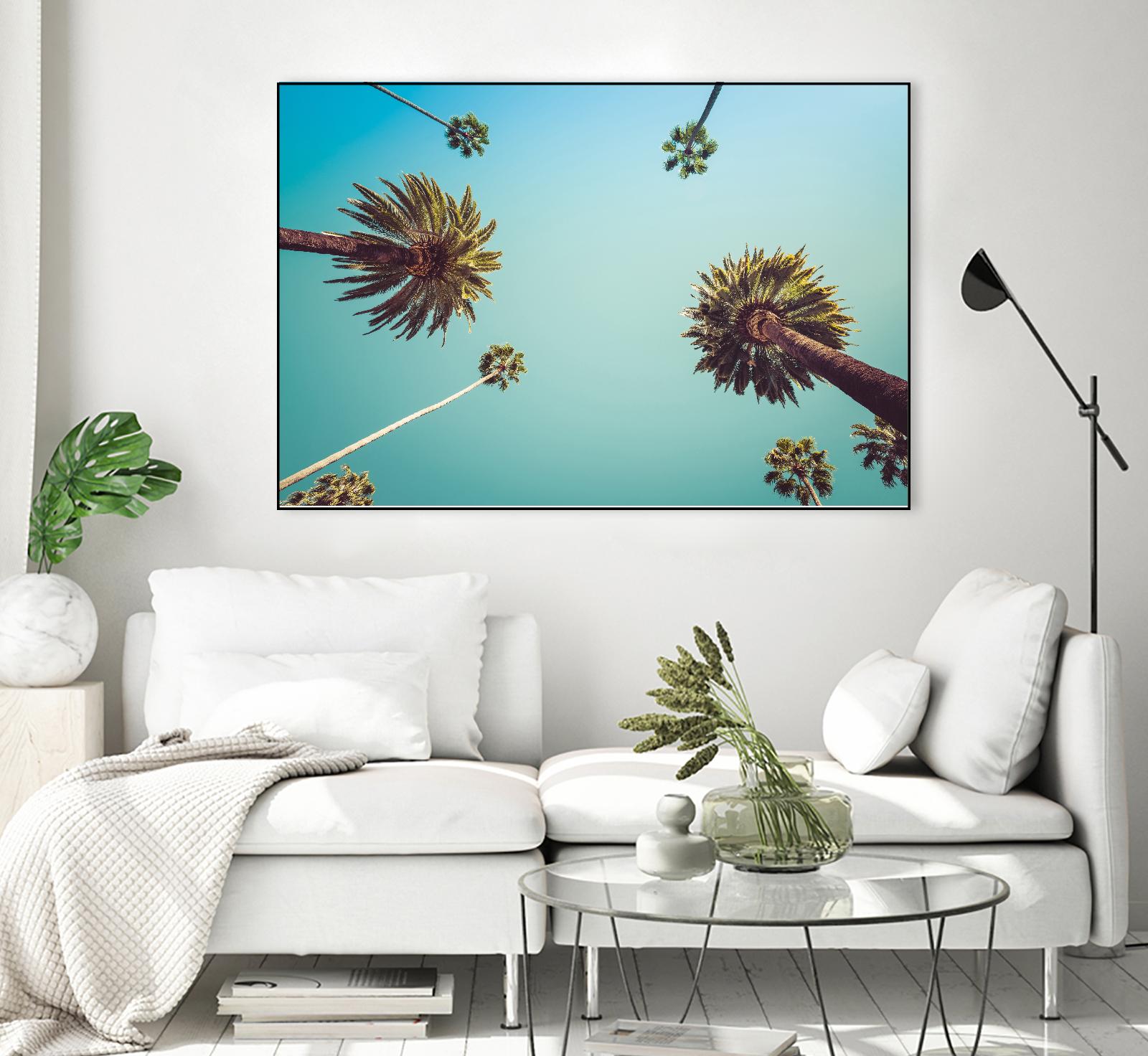 Palms by PhotoINC Studio on GIANT ART - multicolor photography; landscapes