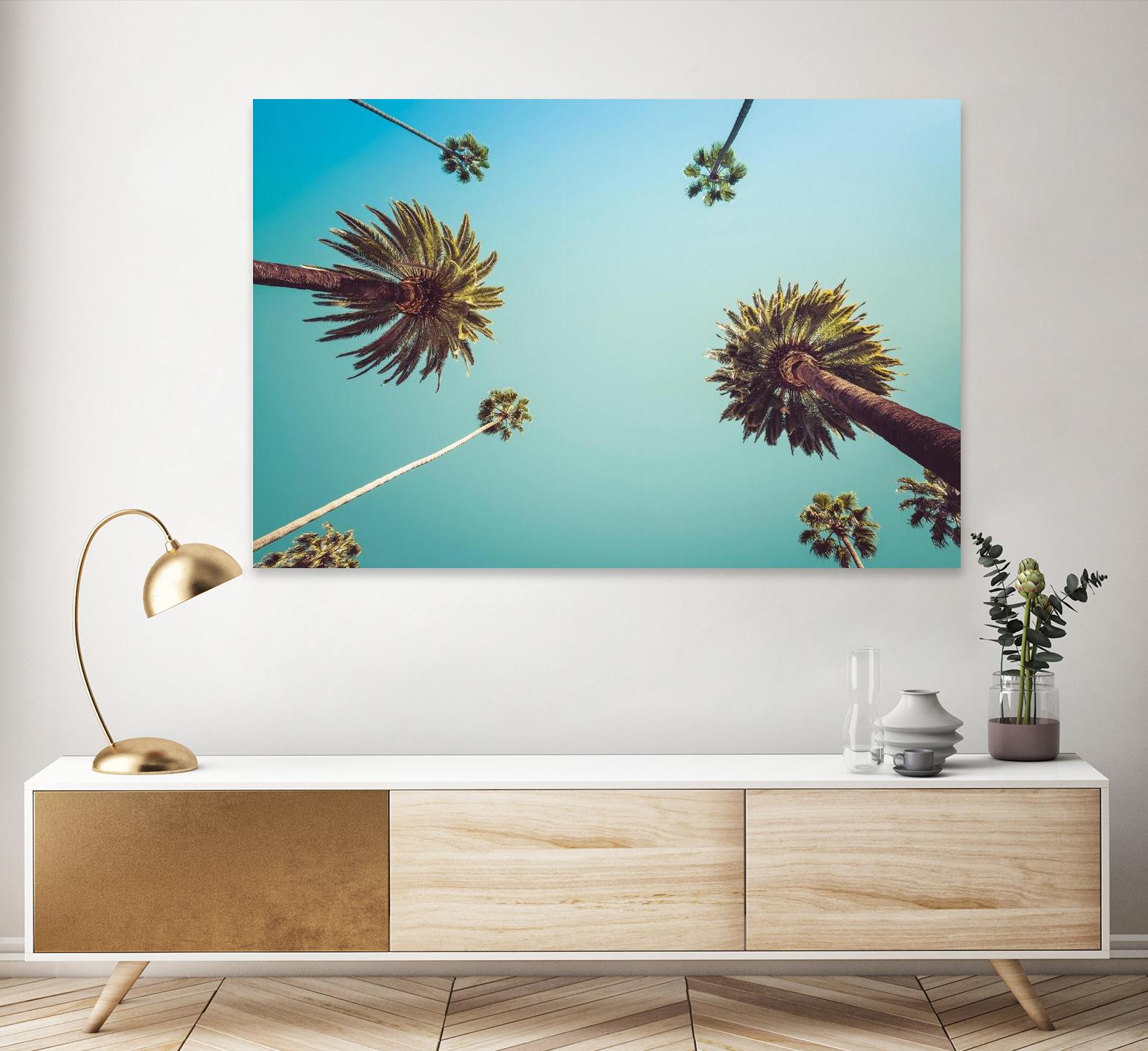 Palms by PhotoINC Studio on GIANT ART - multicolor photography; landscapes