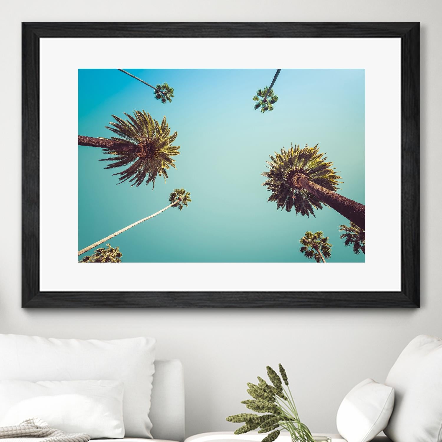 Palms by PhotoINC Studio on GIANT ART - multicolor photography; landscapes