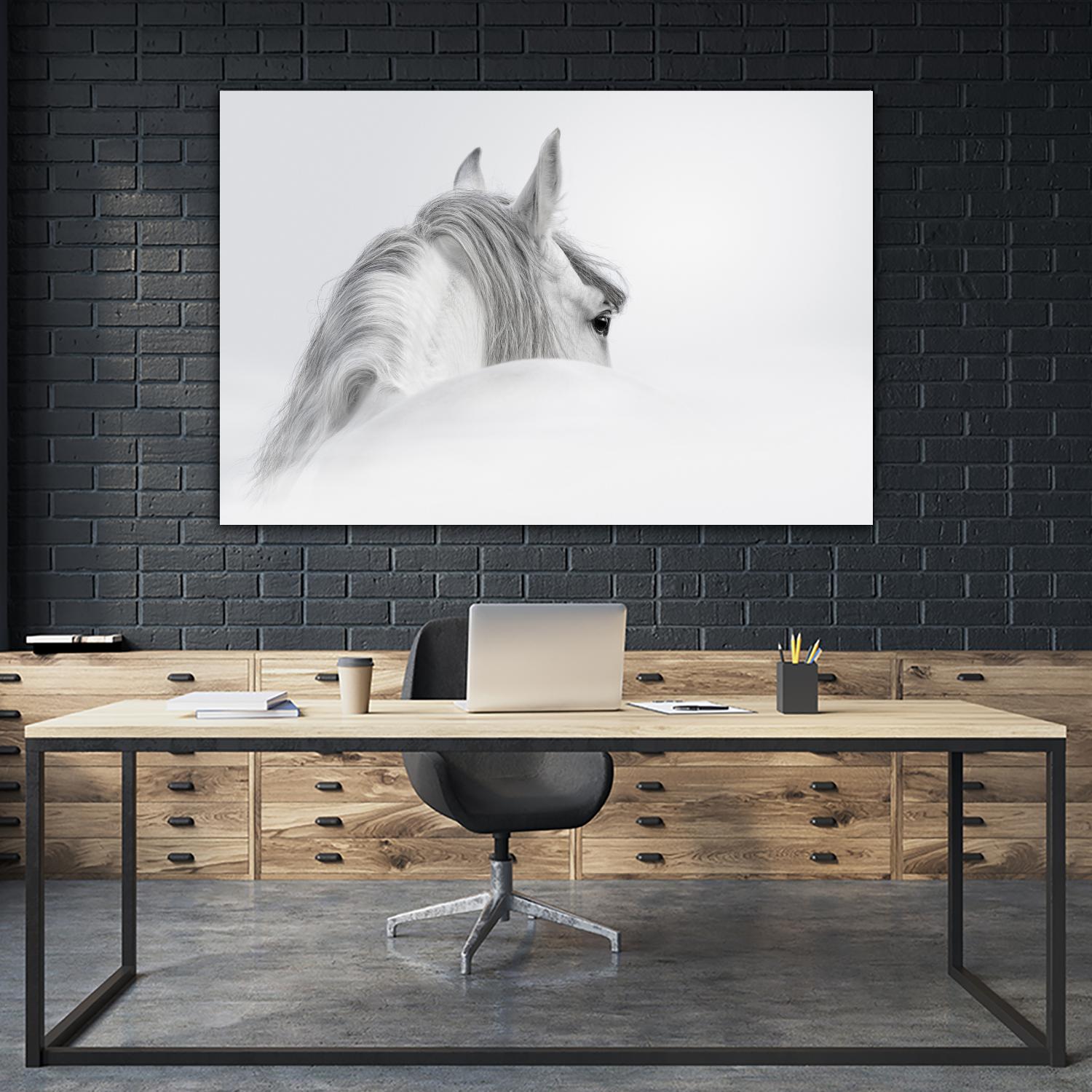 White Horse by PhotoINC Studio on GIANT ART - multicolor animals