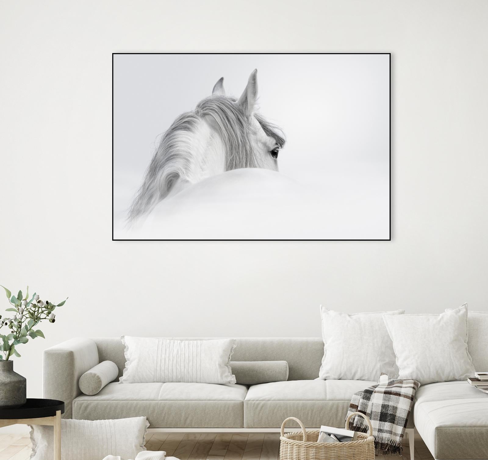 White Horse by PhotoINC Studio on GIANT ART - multicolor animals