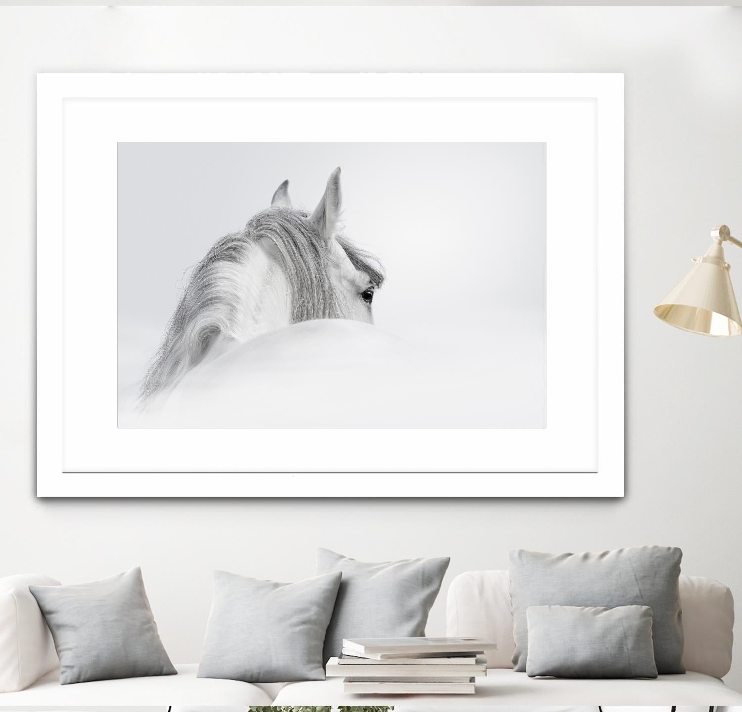 White Horse by PhotoINC Studio on GIANT ART - multicolor animals