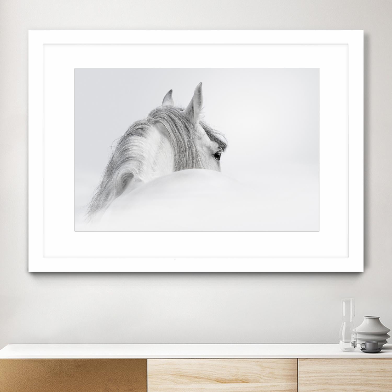White Horse by PhotoINC Studio on GIANT ART - multicolor animals