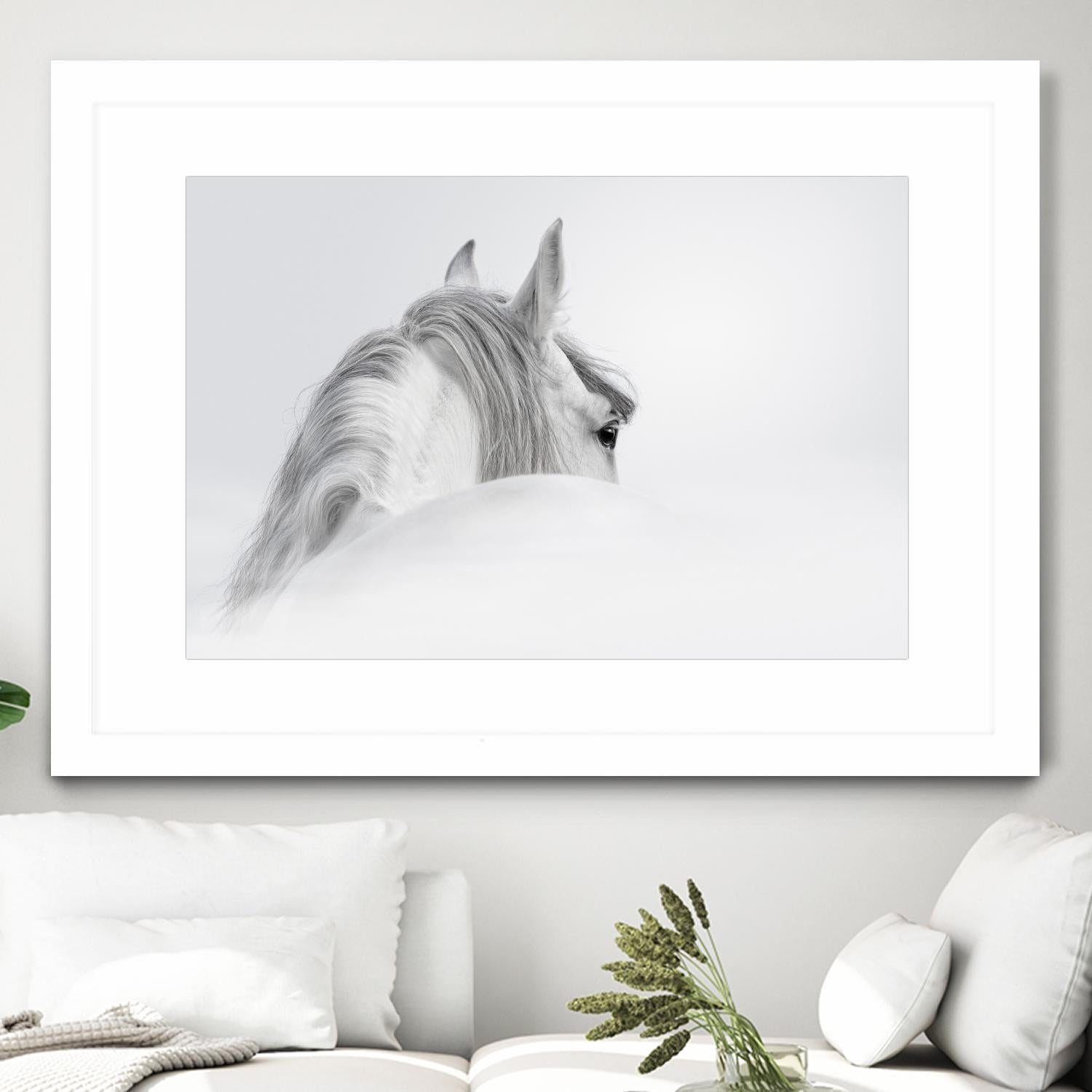 White Horse by PhotoINC Studio on GIANT ART - multicolor animals