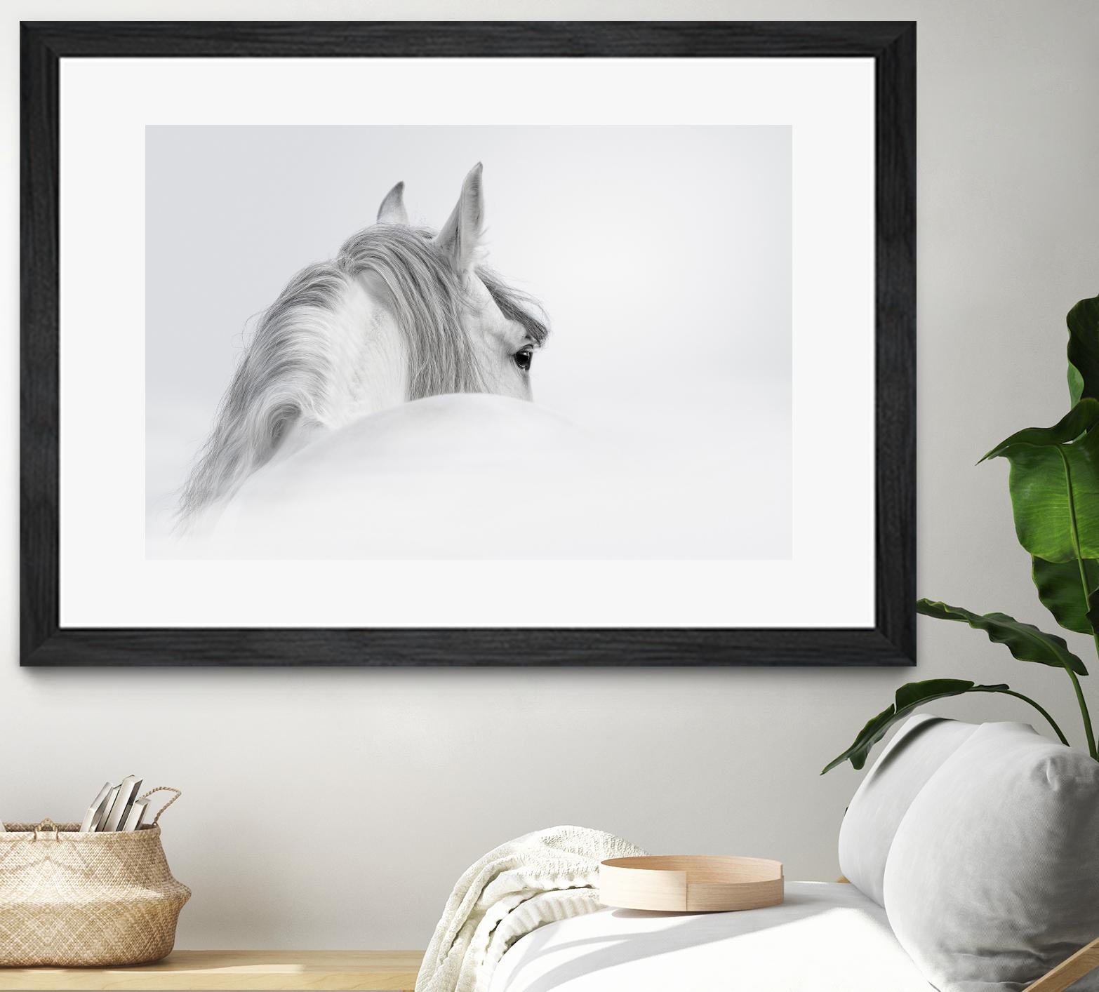 White Horse by PhotoINC Studio on GIANT ART - multicolor animals