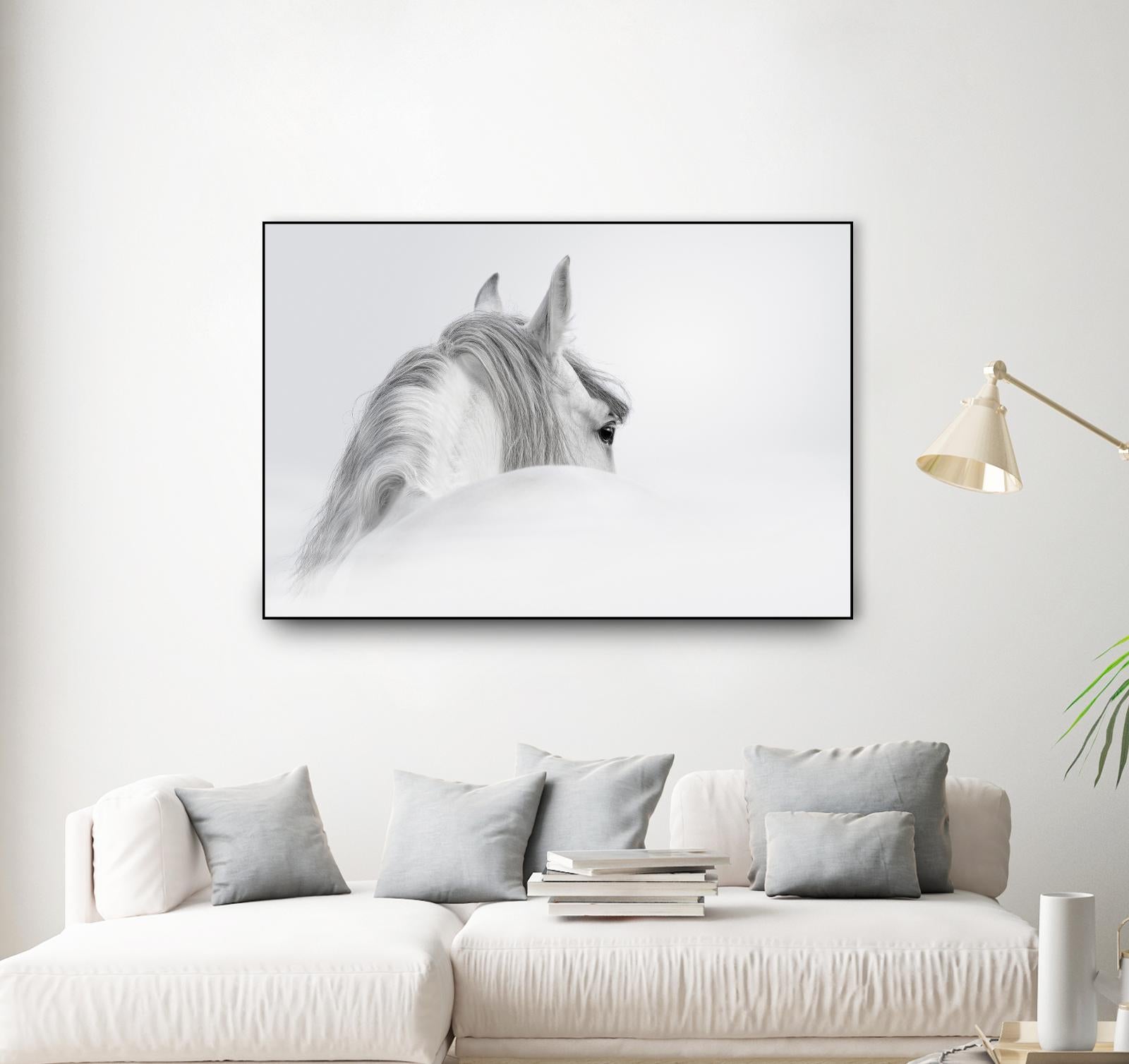 White Horse by PhotoINC Studio on GIANT ART - multicolor animals