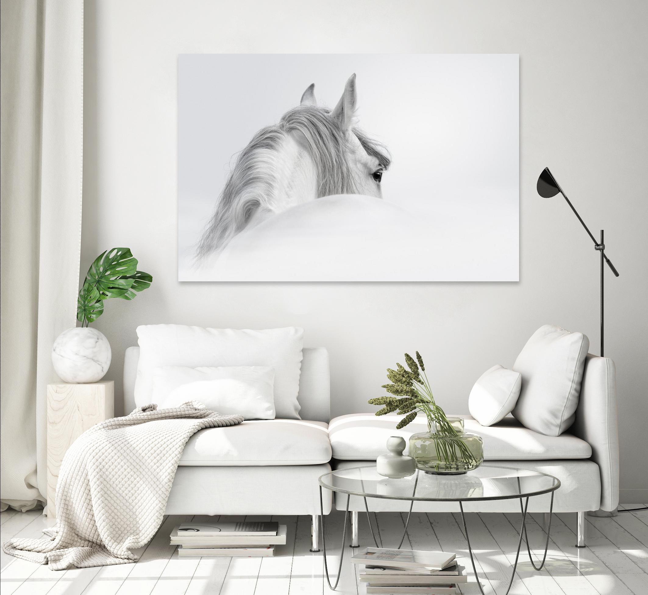 White Horse by PhotoINC Studio on GIANT ART - multicolor animals