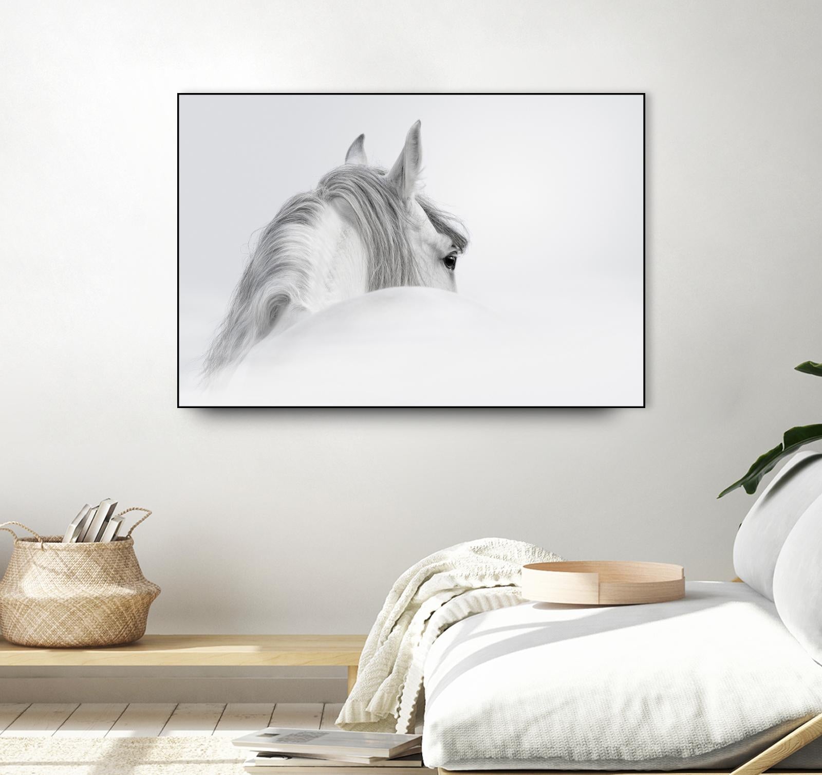 White Horse by PhotoINC Studio on GIANT ART - multicolor animals