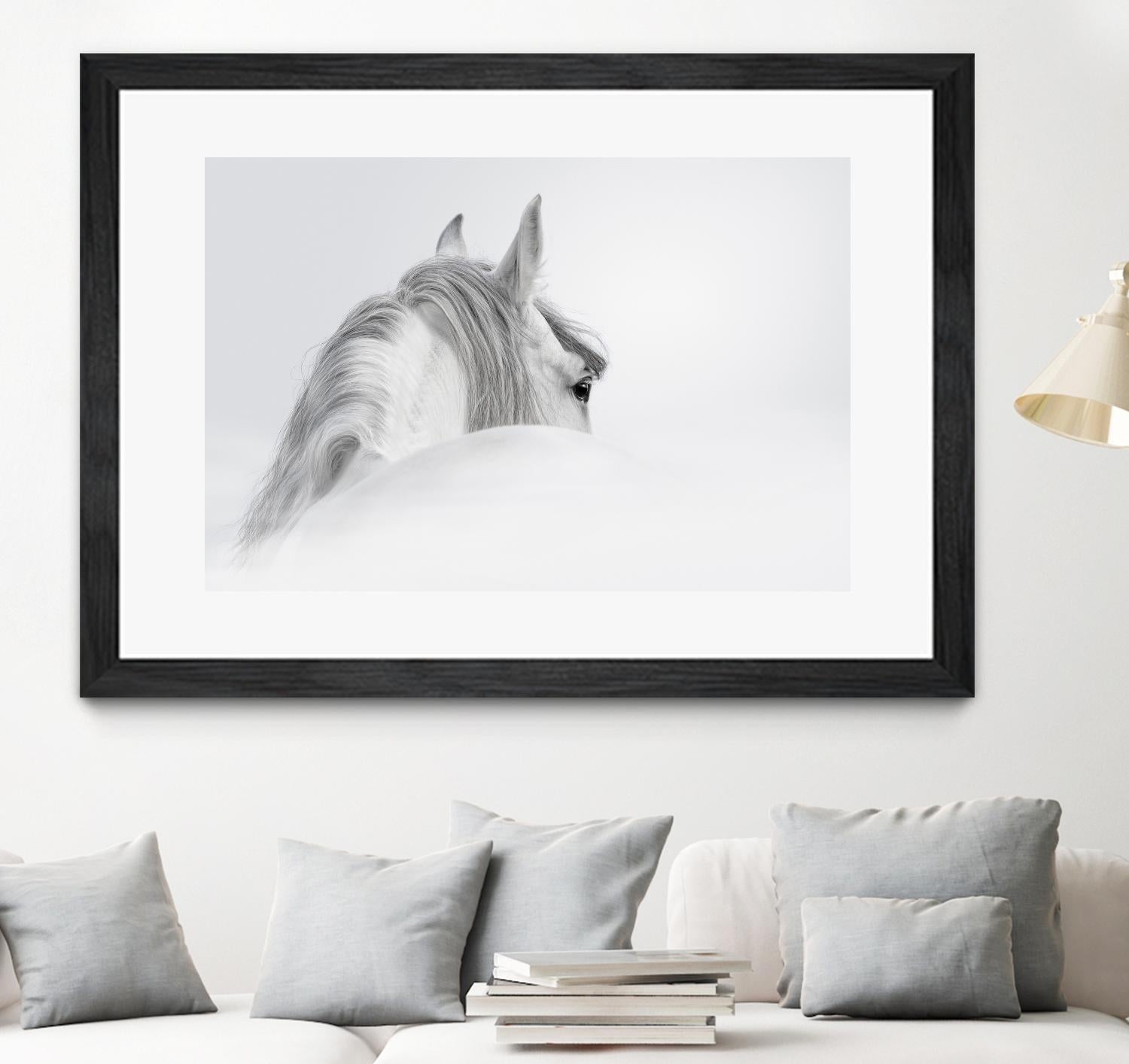 White Horse by PhotoINC Studio on GIANT ART - multicolor animals