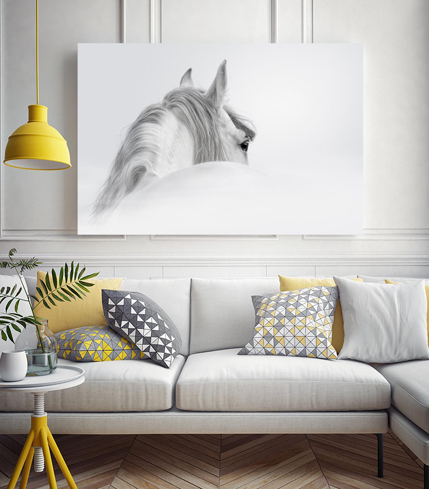 White Horse by PhotoINC Studio on GIANT ART - multicolor animals