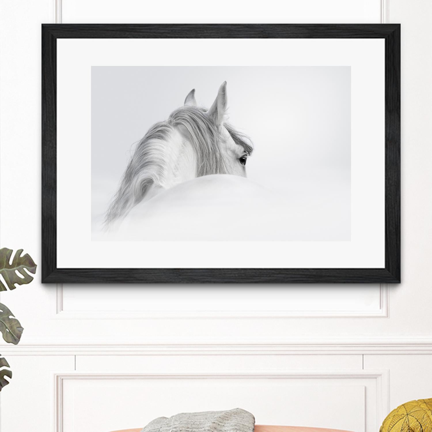 White Horse by PhotoINC Studio on GIANT ART - multicolor animals