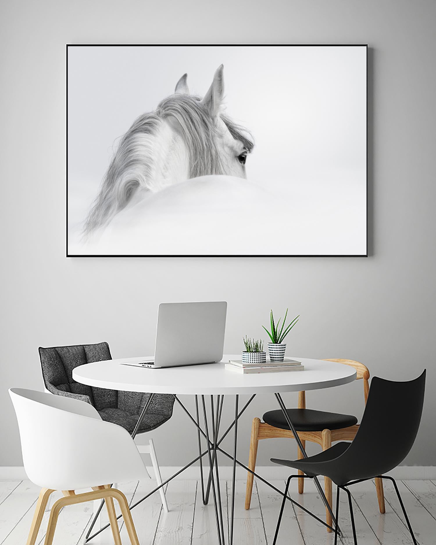 White Horse by PhotoINC Studio on GIANT ART - multicolor animals